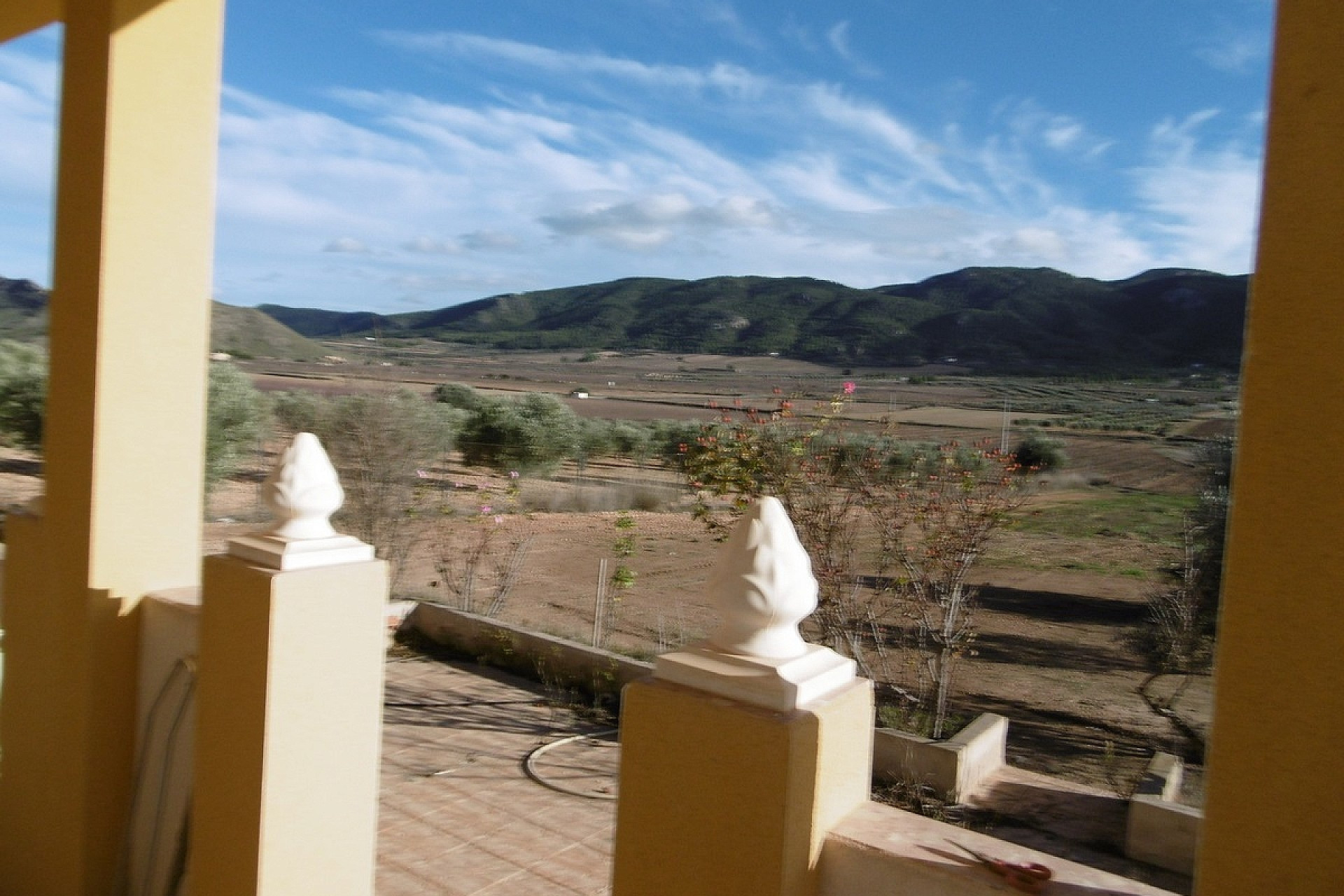 Resale - Finca / Country Property -
Yecla
