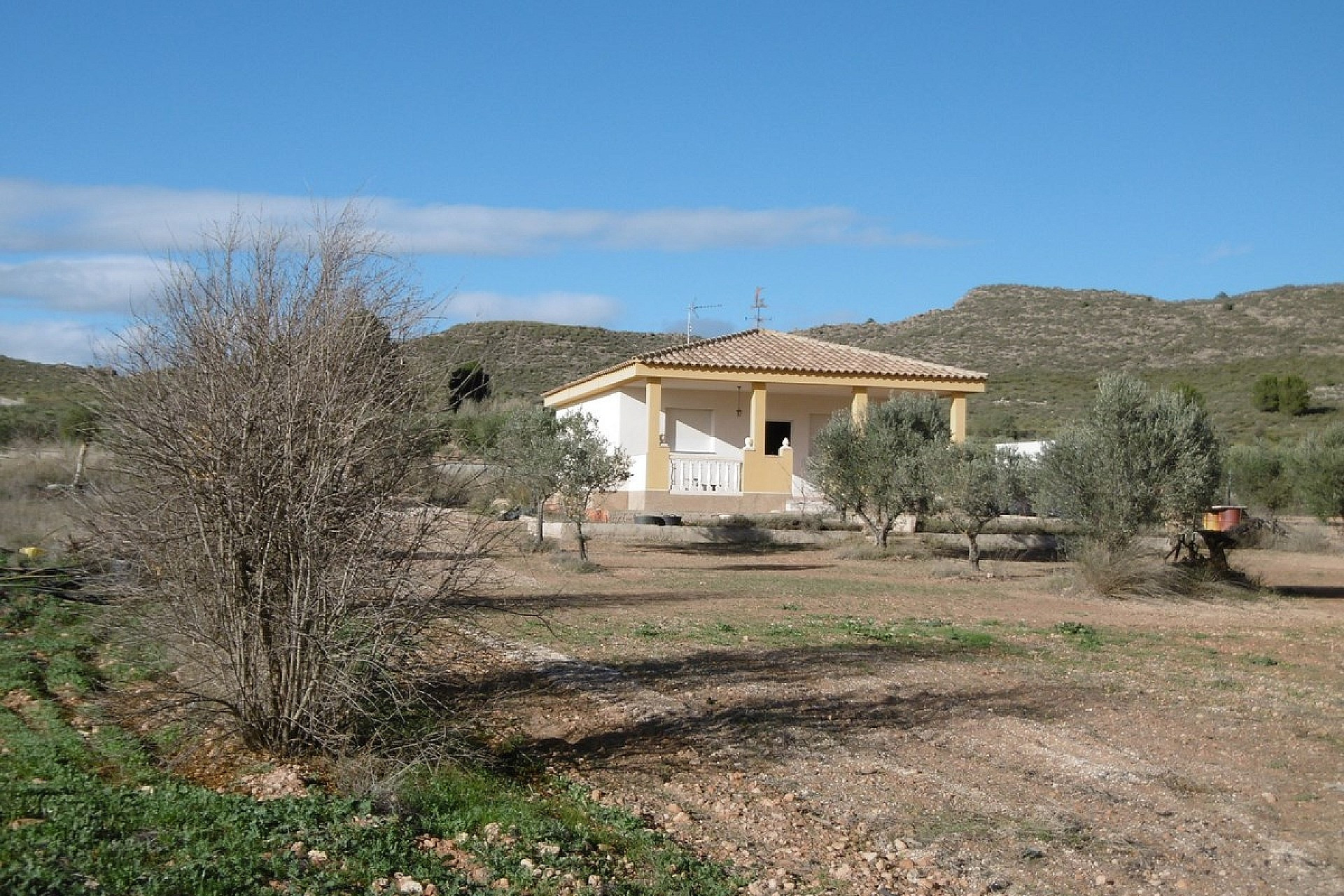 Resale - Finca / Country Property -
Yecla