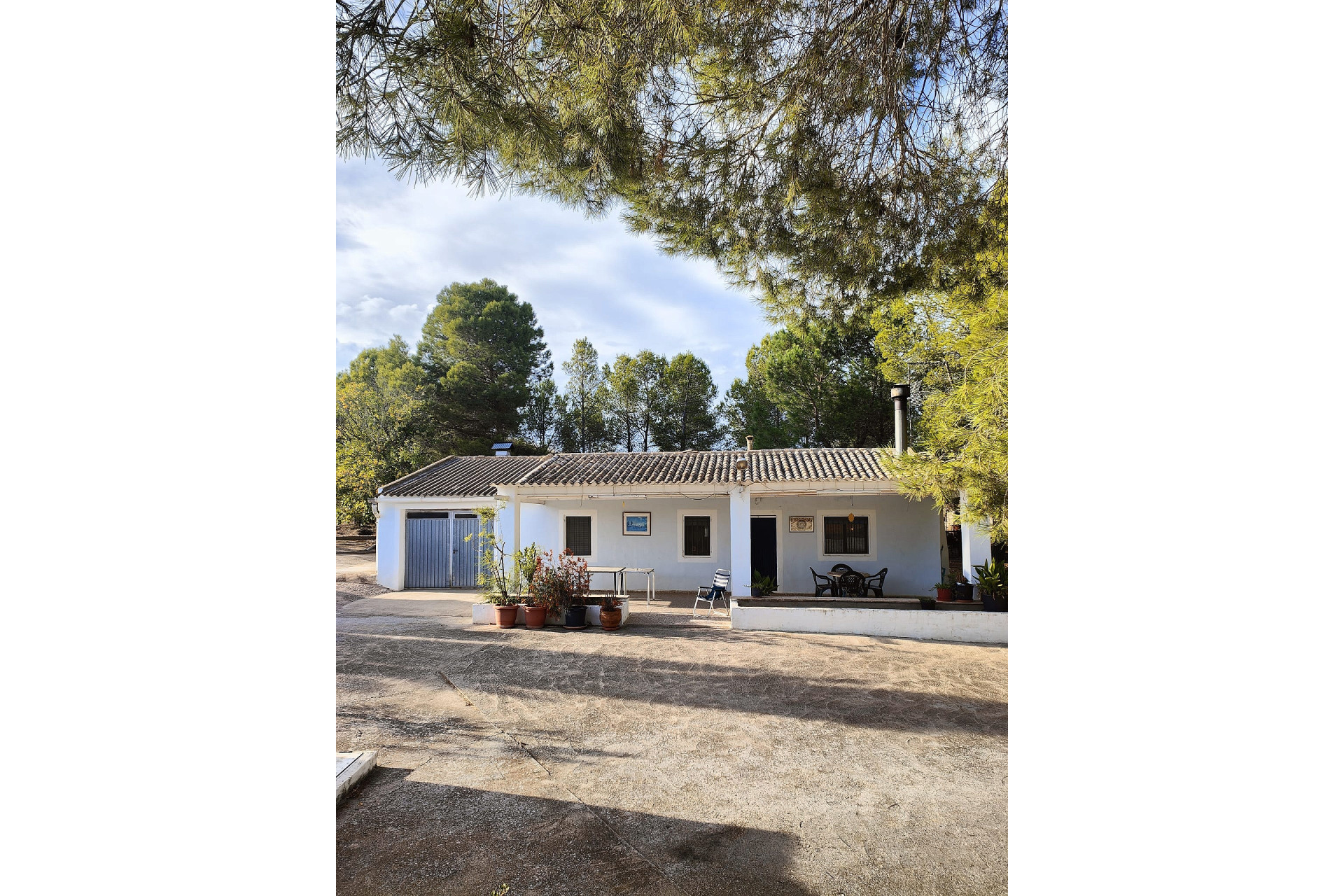 Resale - Finca / Country Property -
Yecla