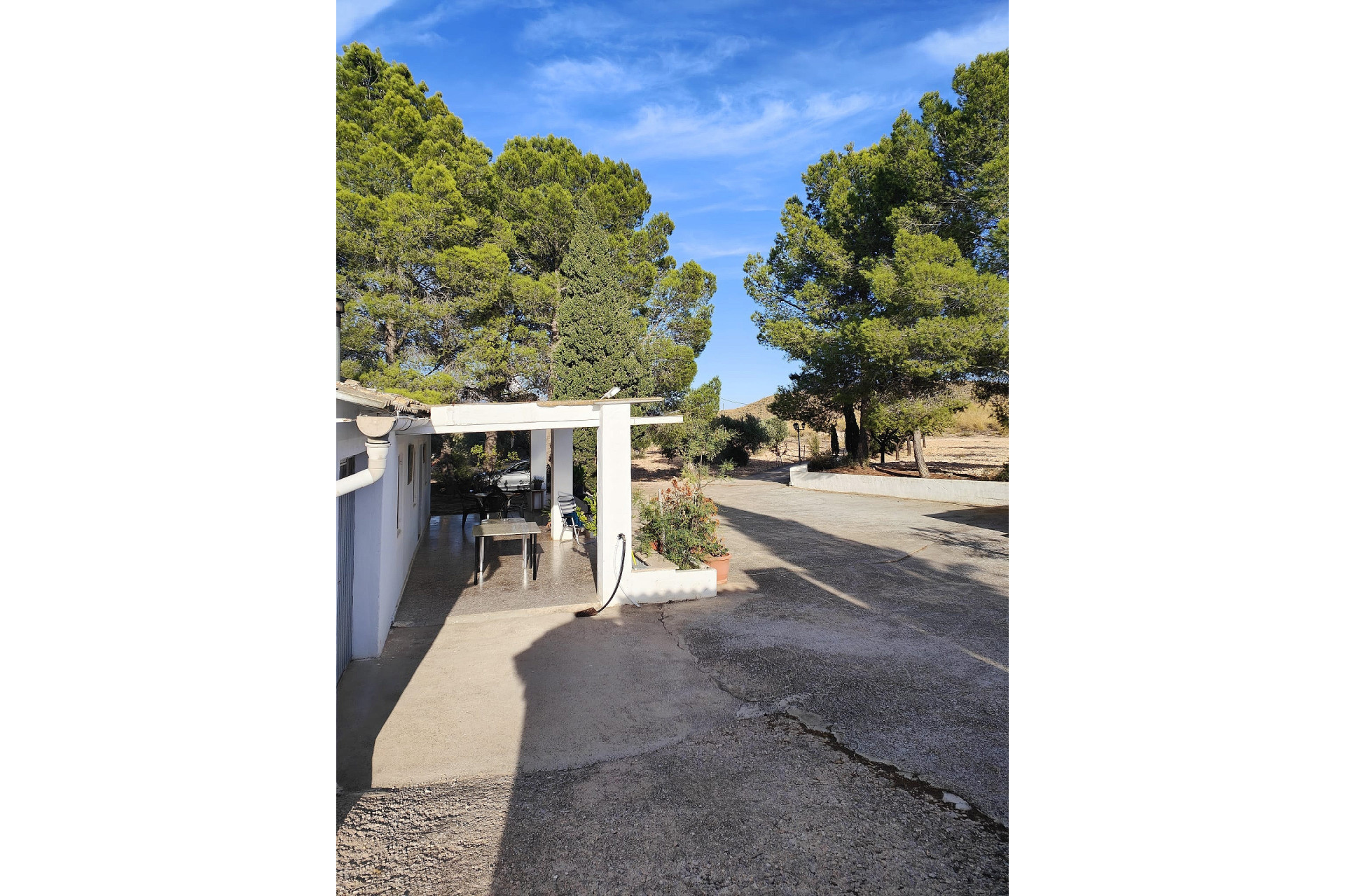 Resale - Finca / Country Property -
Yecla