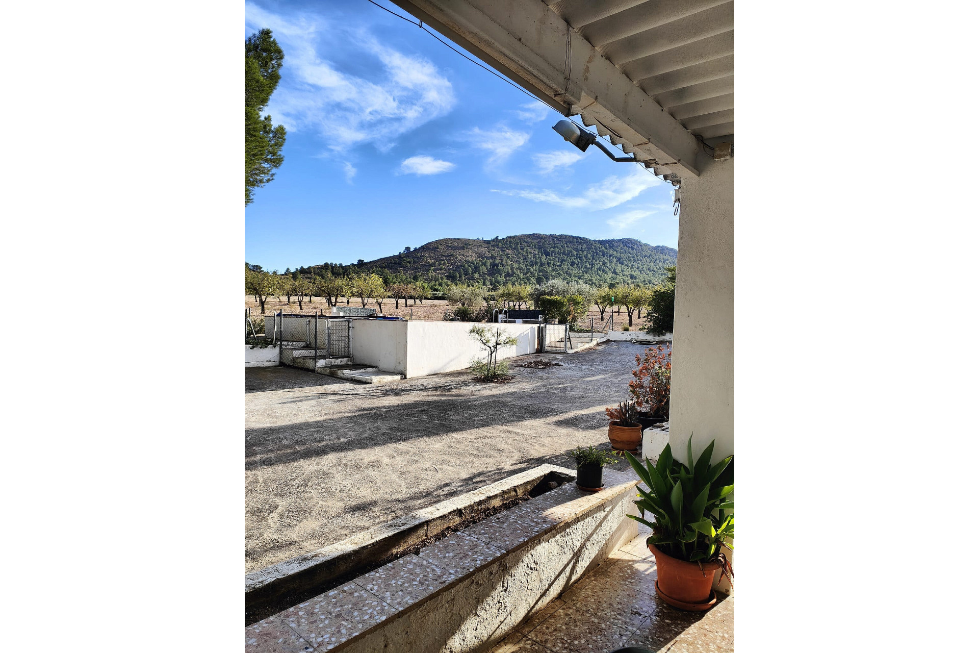 Resale - Finca / Country Property -
Yecla