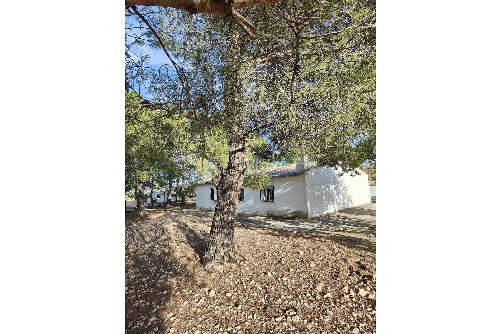 Resale - Finca / Country Property -
Yecla