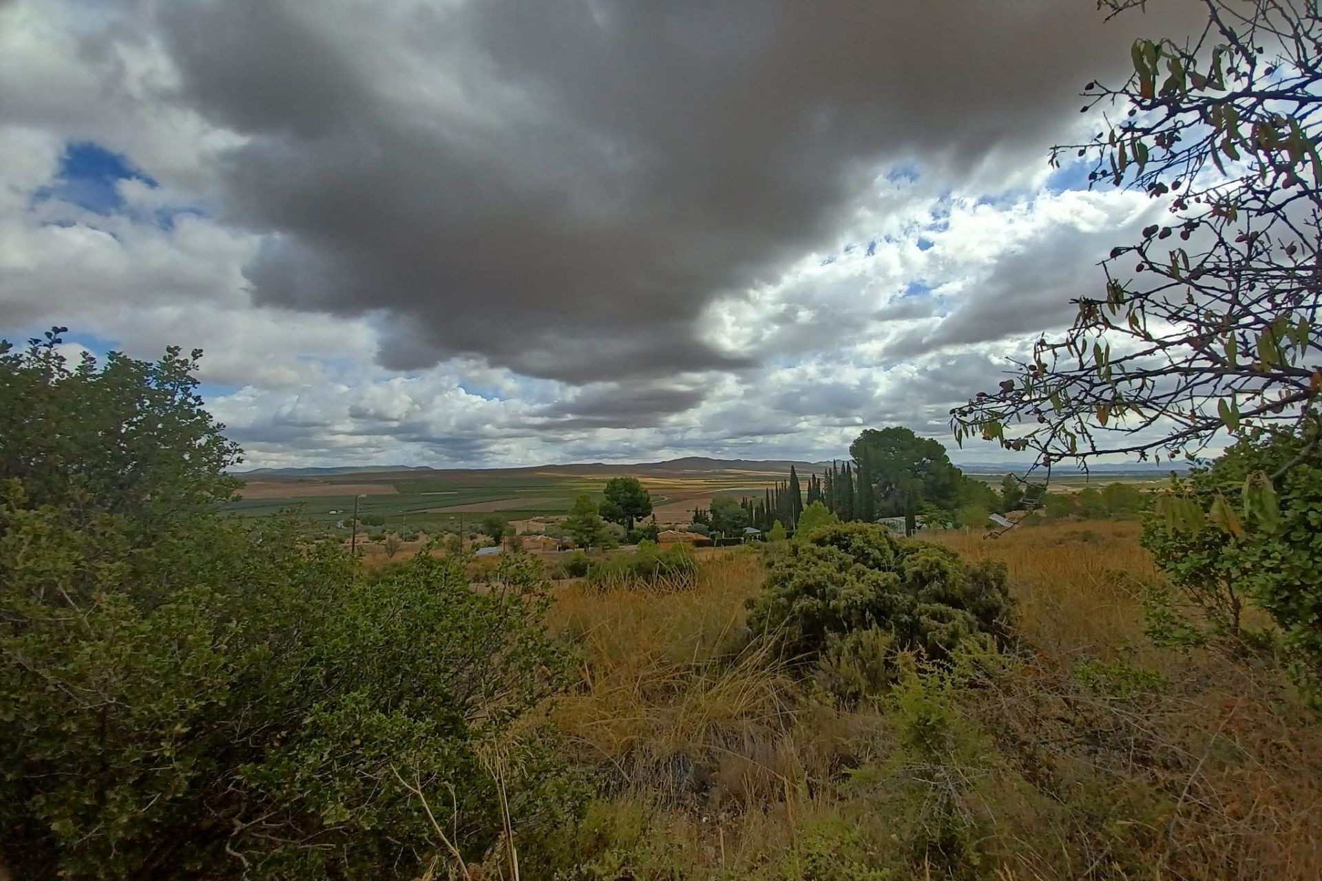 Resale - Finca / Country Property -
Yecla