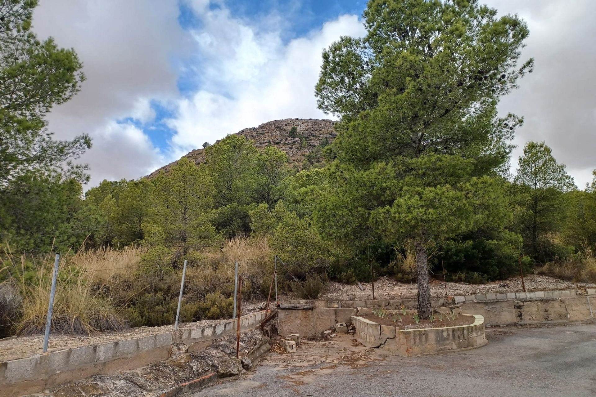 Resale - Finca / Country Property -
Yecla