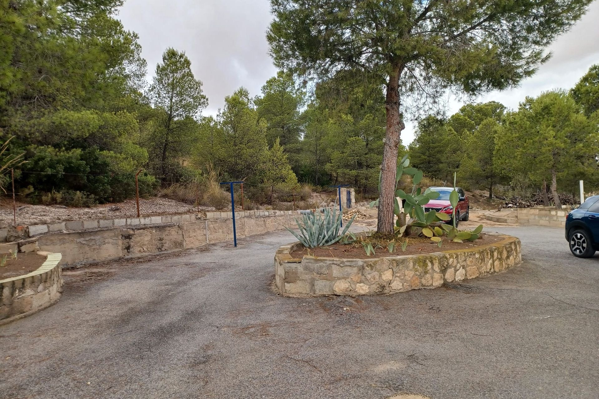 Resale - Finca / Country Property -
Yecla