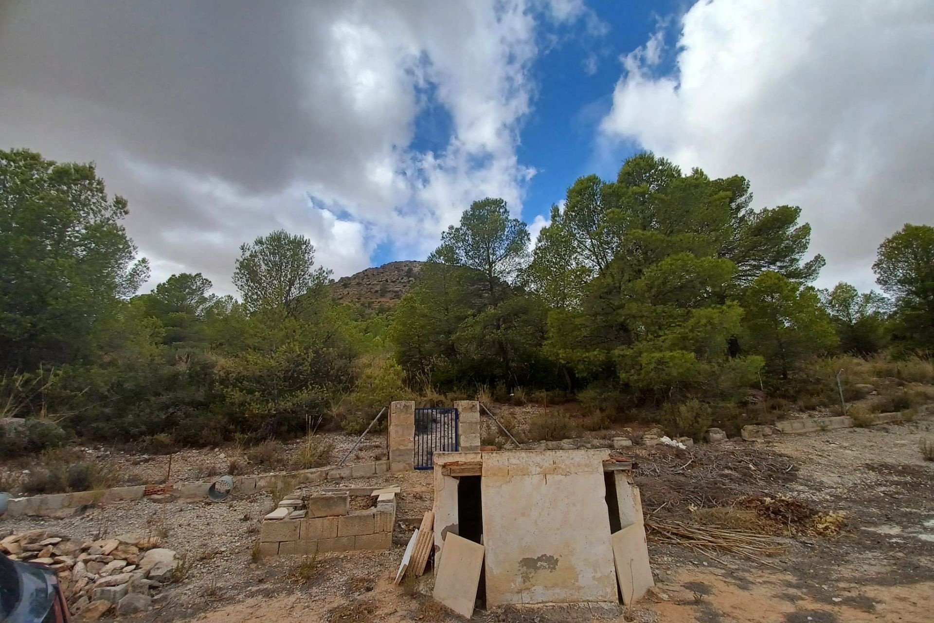 Resale - Finca / Country Property -
Yecla