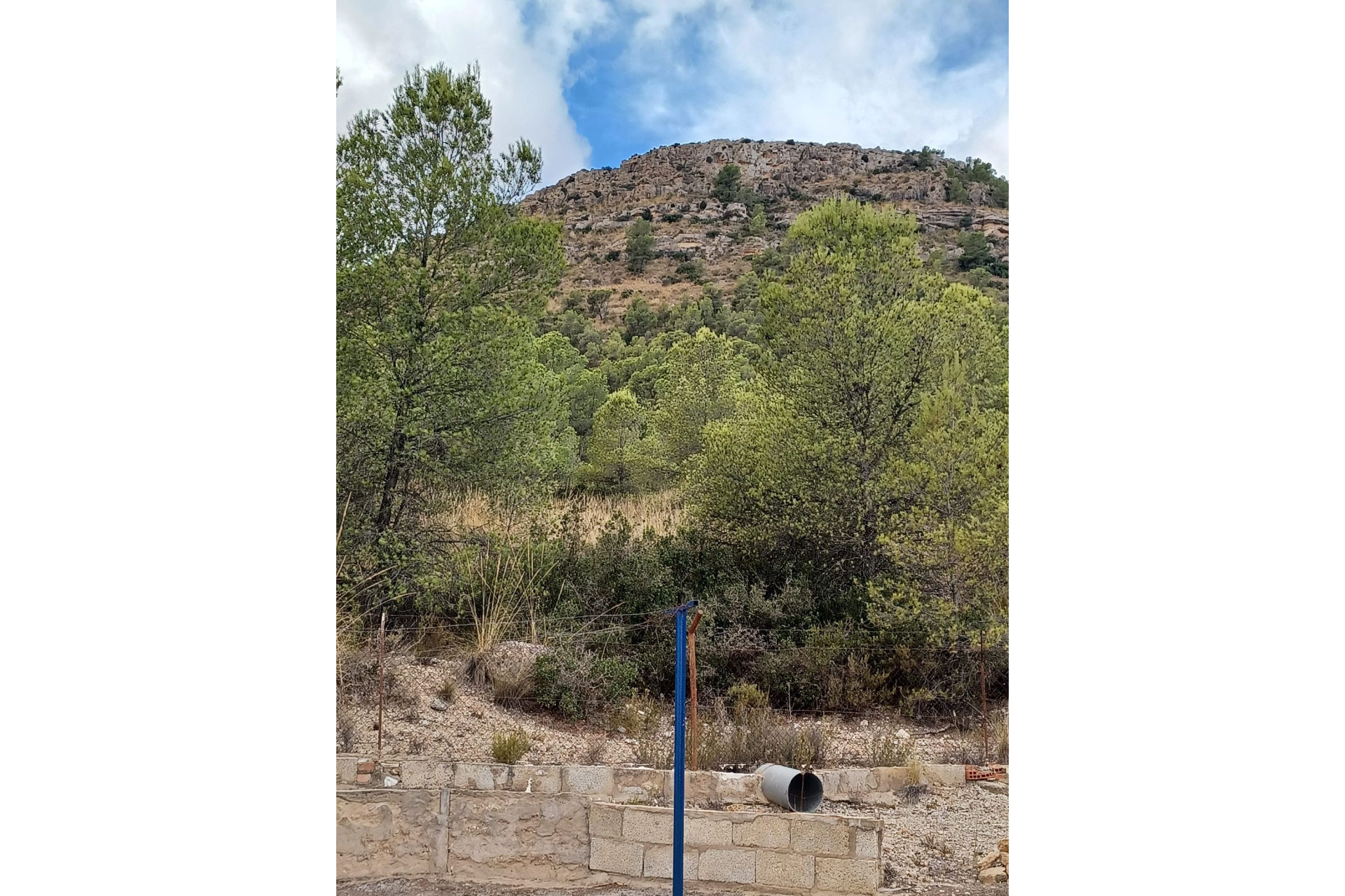 Resale - Finca / Country Property -
Yecla