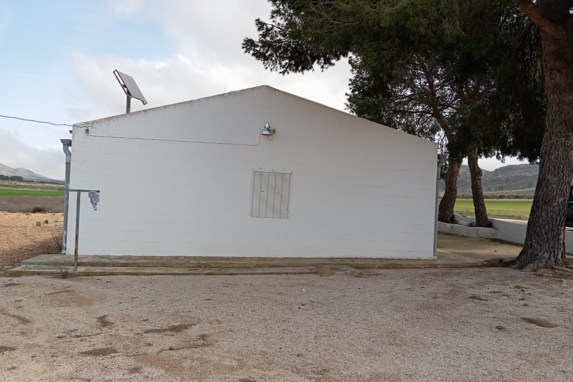 Resale - Finca - Country Property -
Yecla