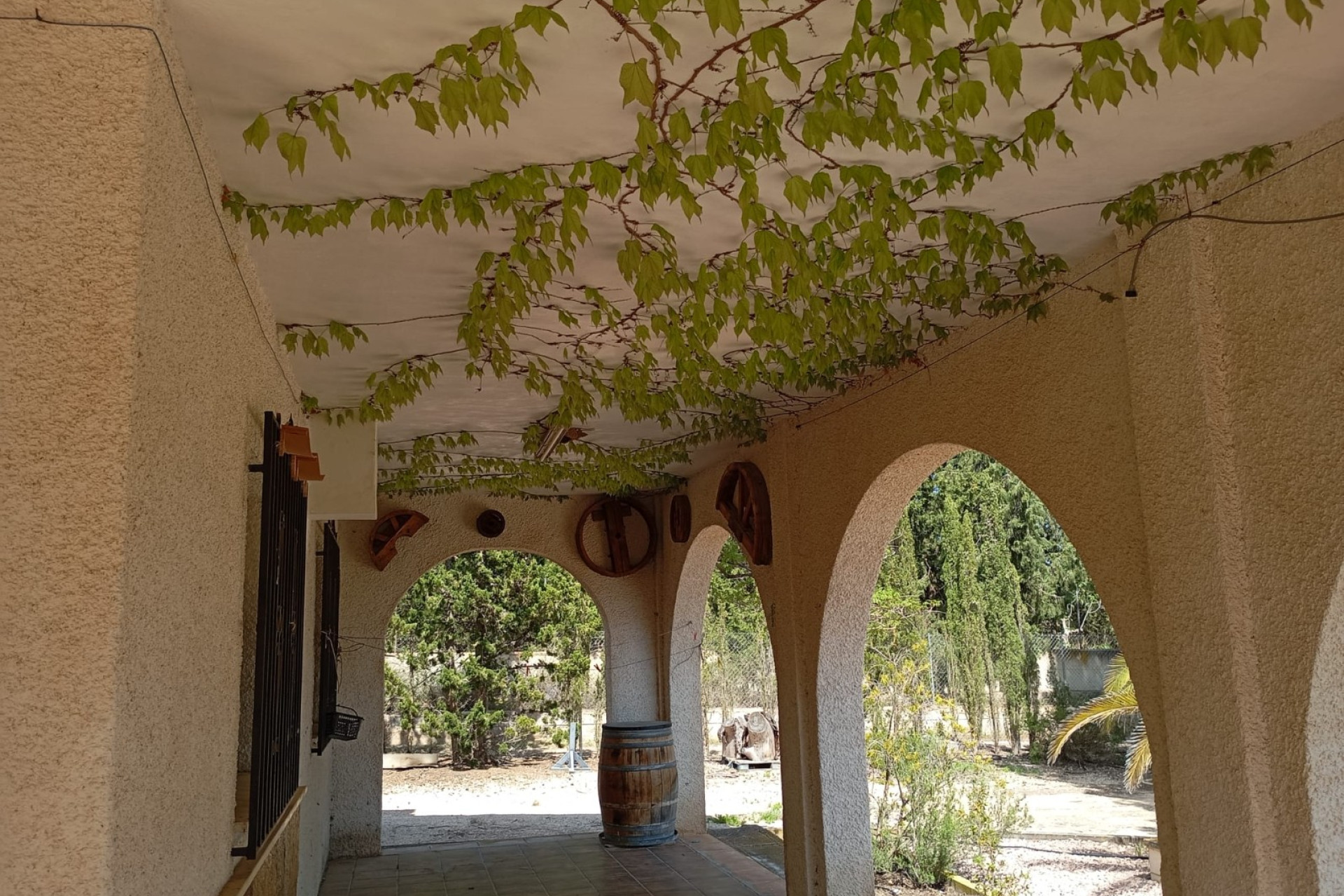 Resale - Finca - Country Property -
Yecla