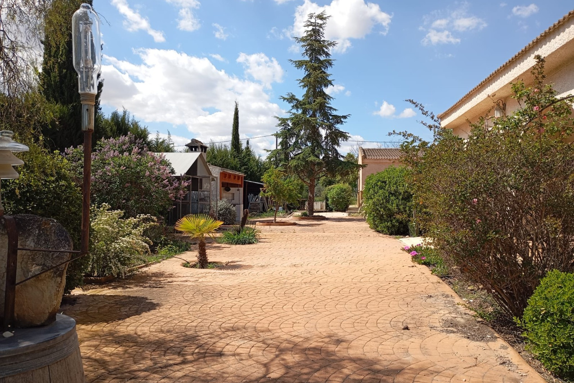 Resale - Finca - Country Property -
Yecla