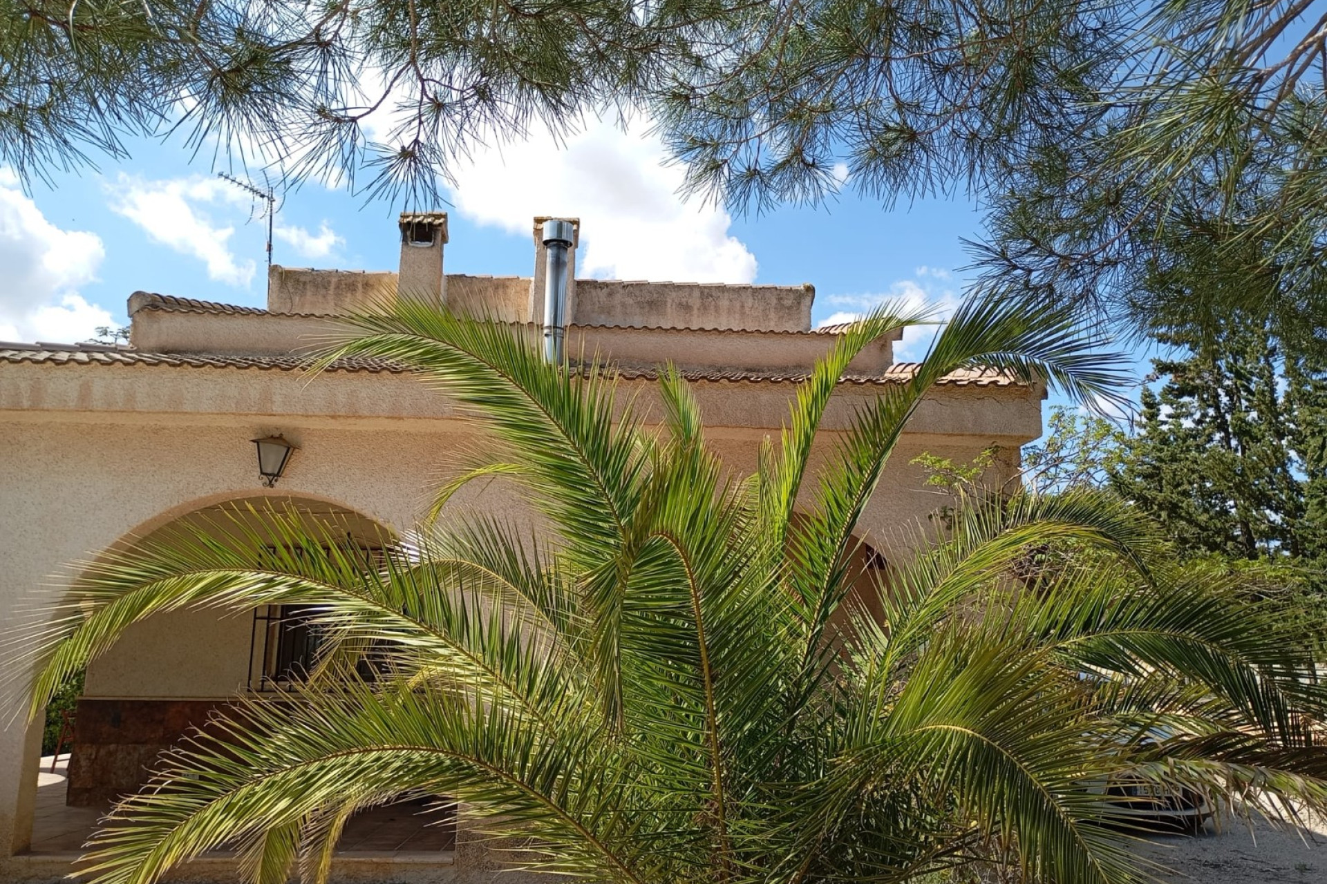 Resale - Finca - Country Property -
Yecla