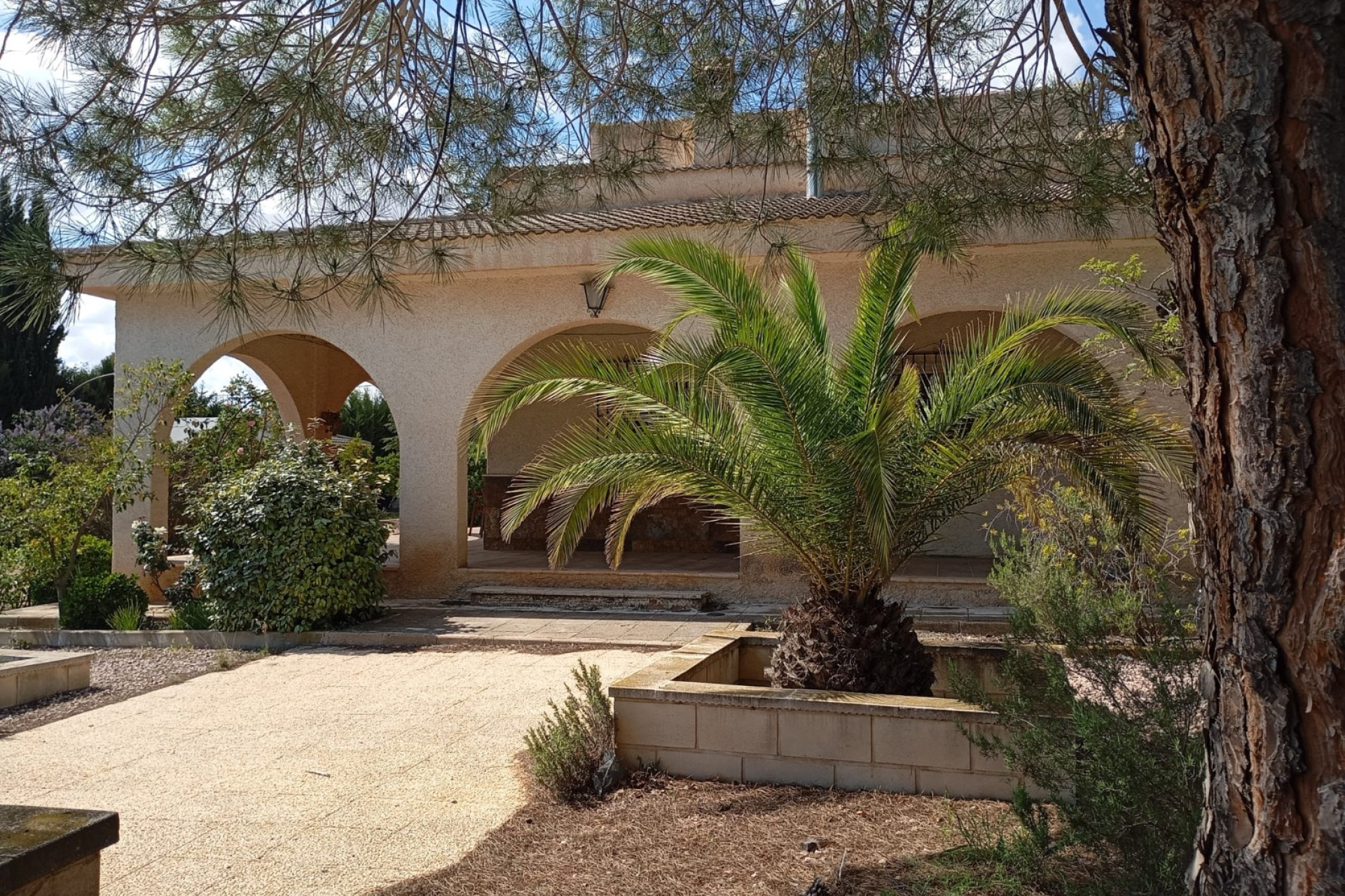 Resale - Finca - Country Property -
Yecla