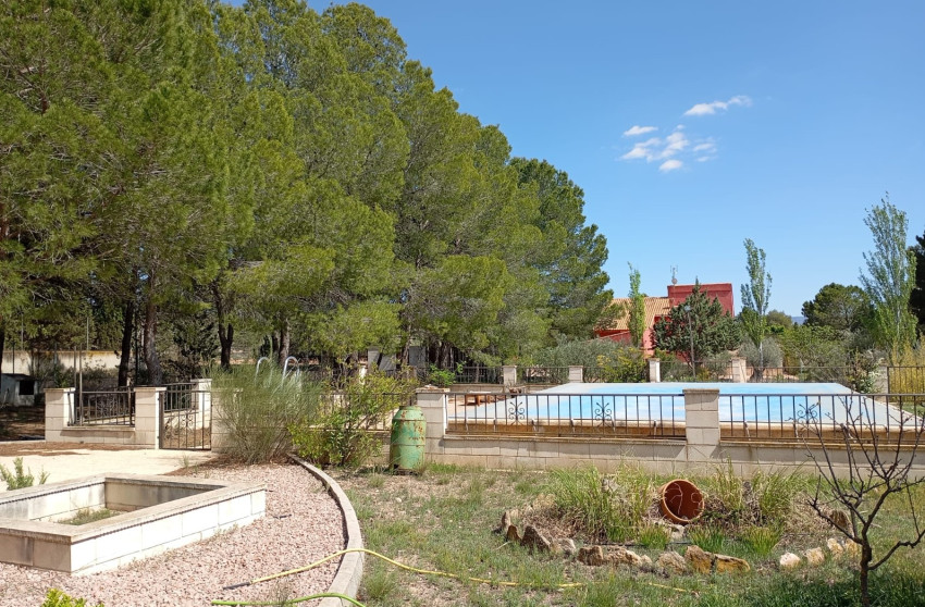 Resale - Finca - Country Property -
Yecla