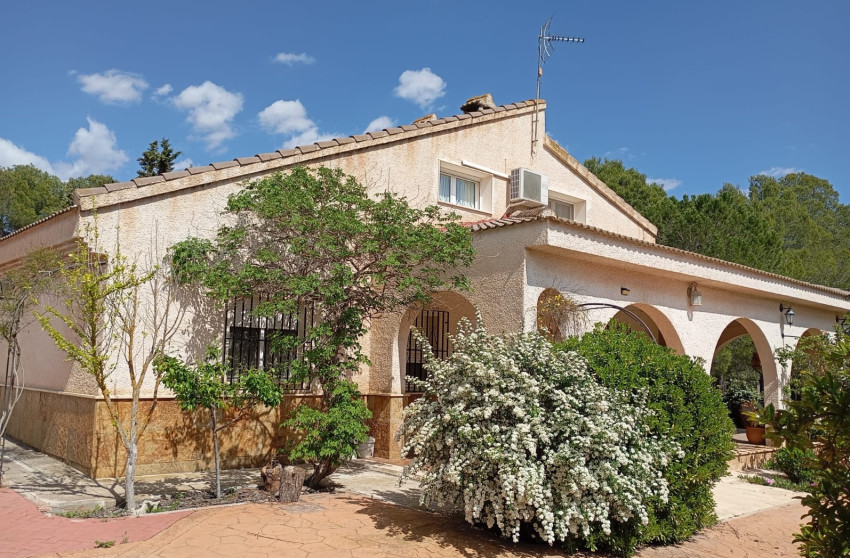 Resale - Finca - Country Property -
Yecla