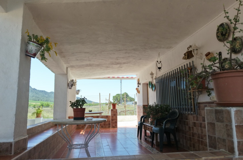 Resale - Finca - Country Property -
Yecla