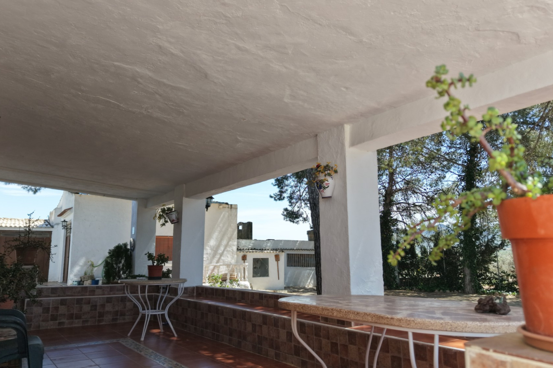 Resale - Finca - Country Property -
Yecla