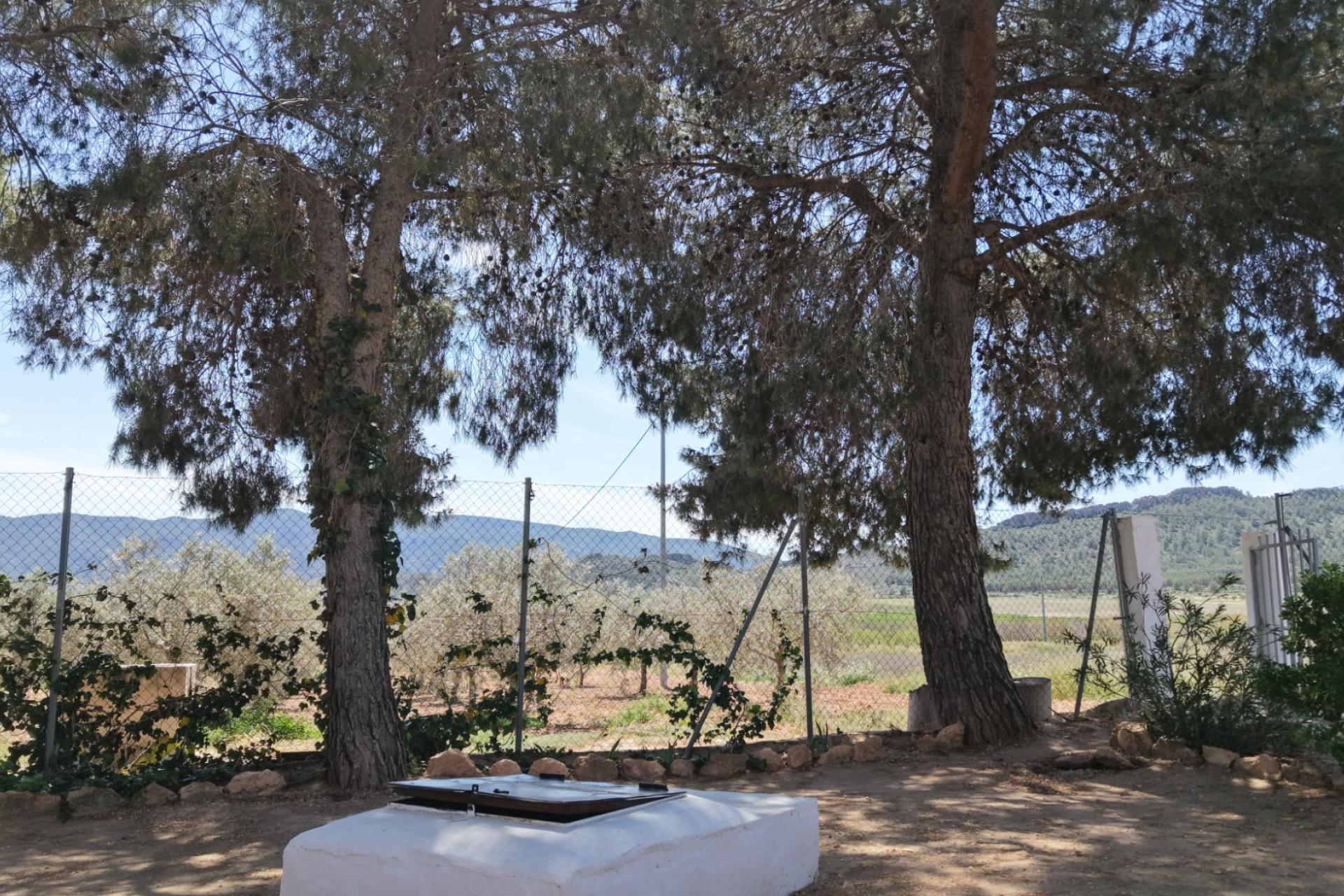 Resale - Finca - Country Property -
Yecla