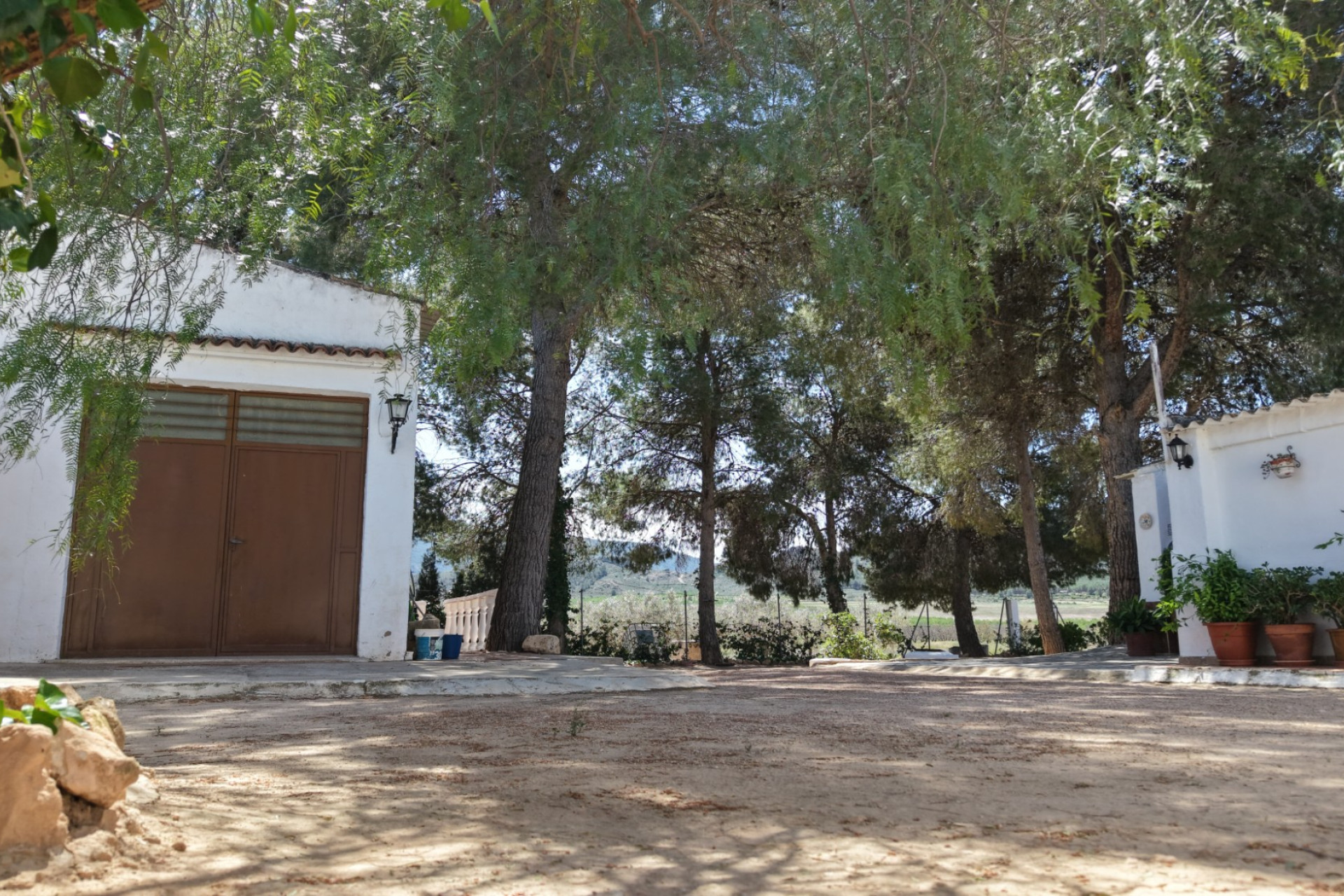 Resale - Finca - Country Property -
Yecla