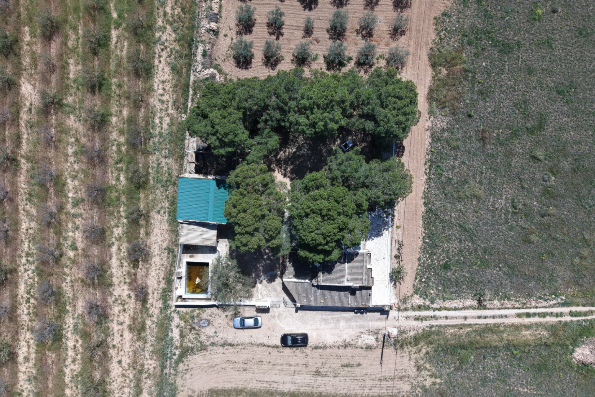 Resale - Finca - Country Property -
Yecla