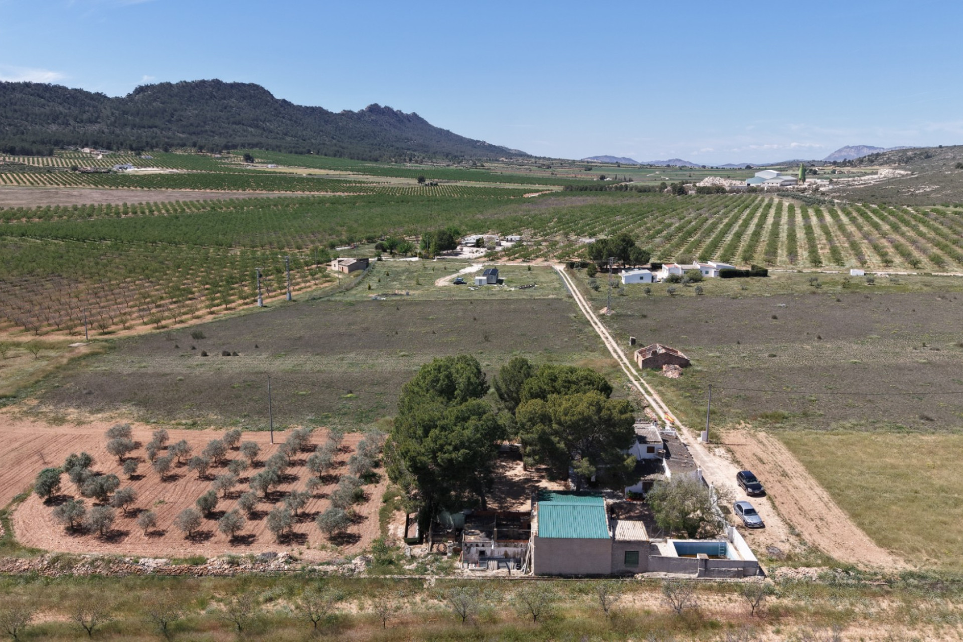 Resale - Finca - Country Property -
Yecla