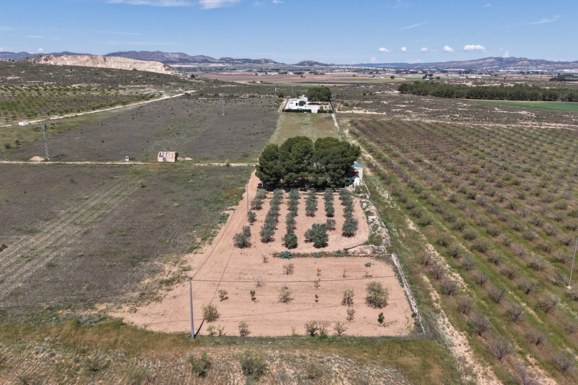 Resale - Finca - Country Property -
Yecla