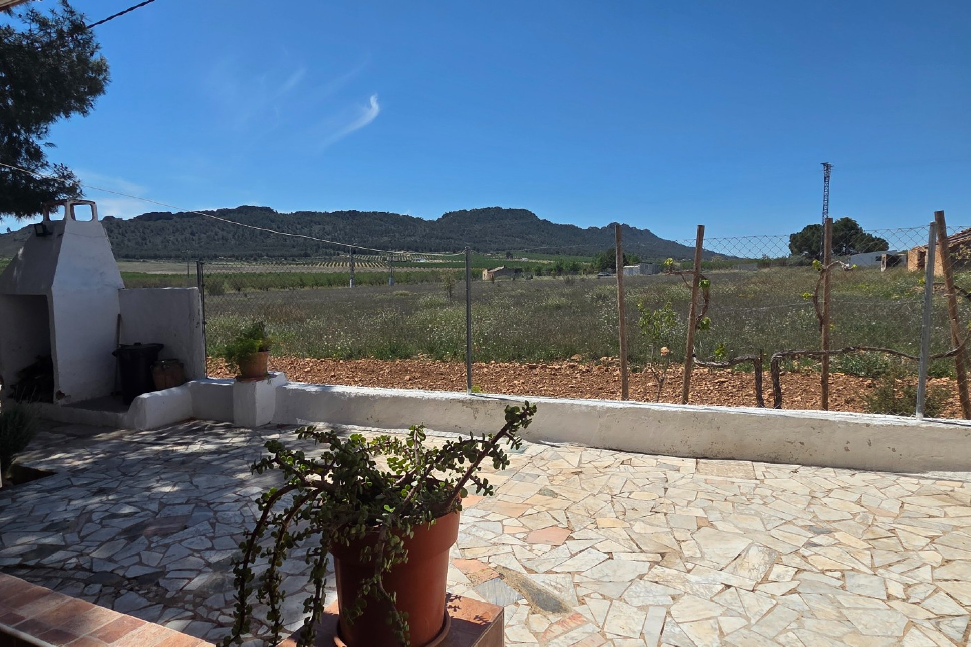 Resale - Finca - Country Property -
Yecla