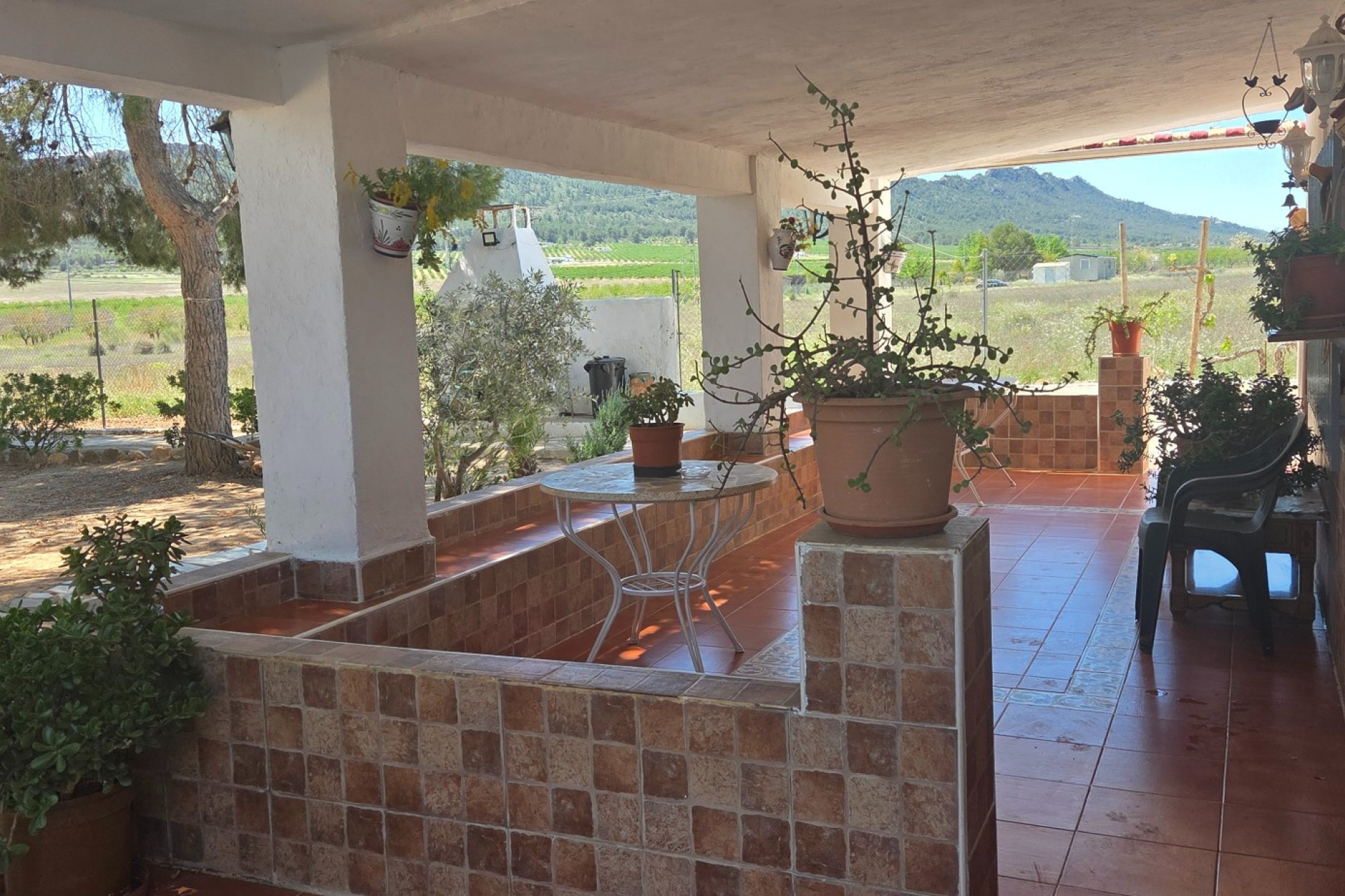 Resale - Finca - Country Property -
Yecla