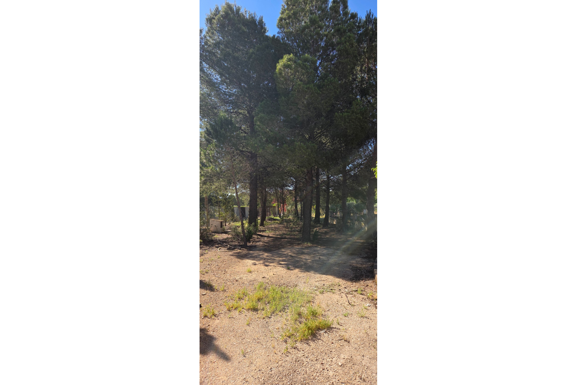 Resale - Finca - Country Property -
Yecla