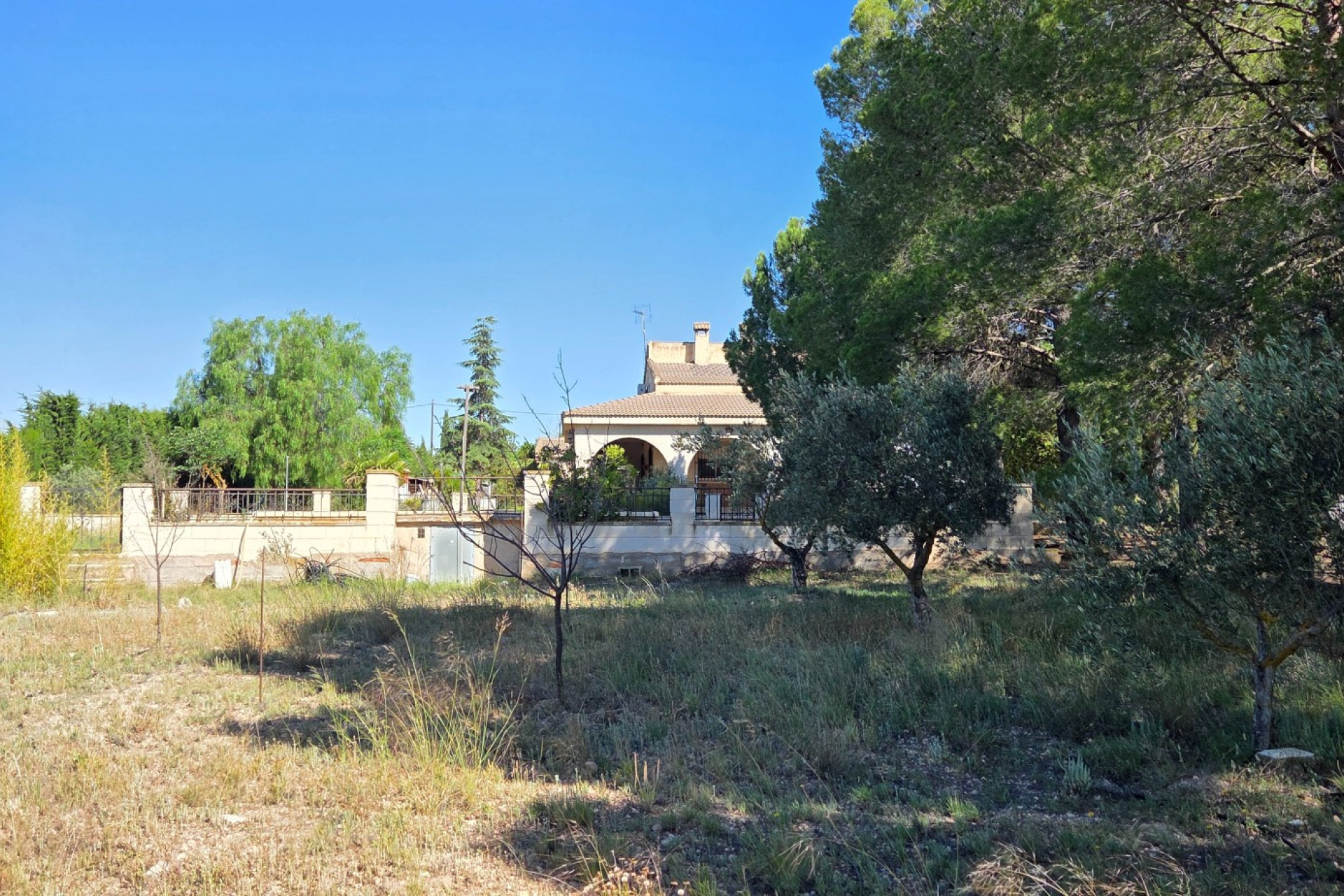 Resale - Finca - Country Property -
Yecla