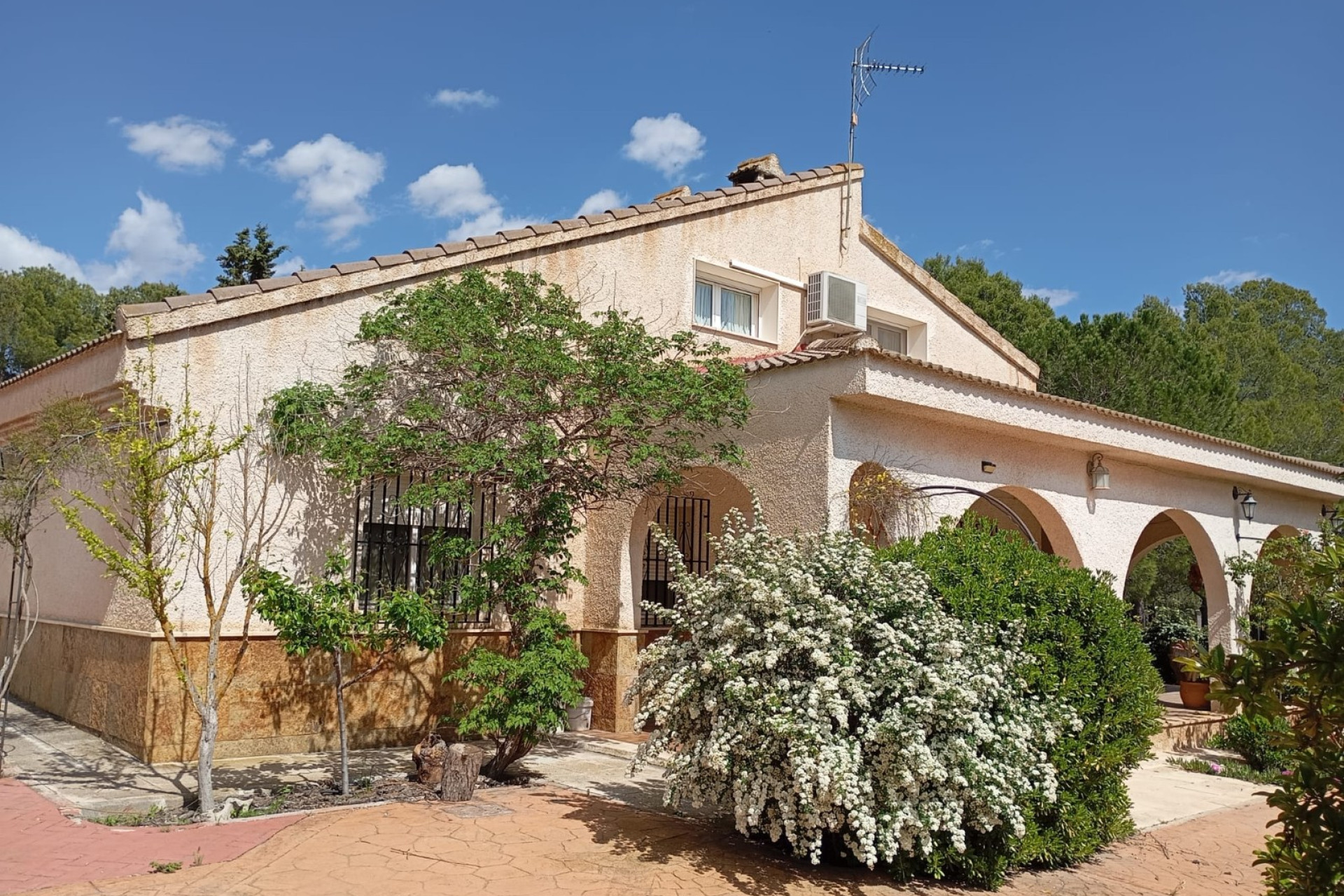 Resale - Finca - Country Property -
Yecla