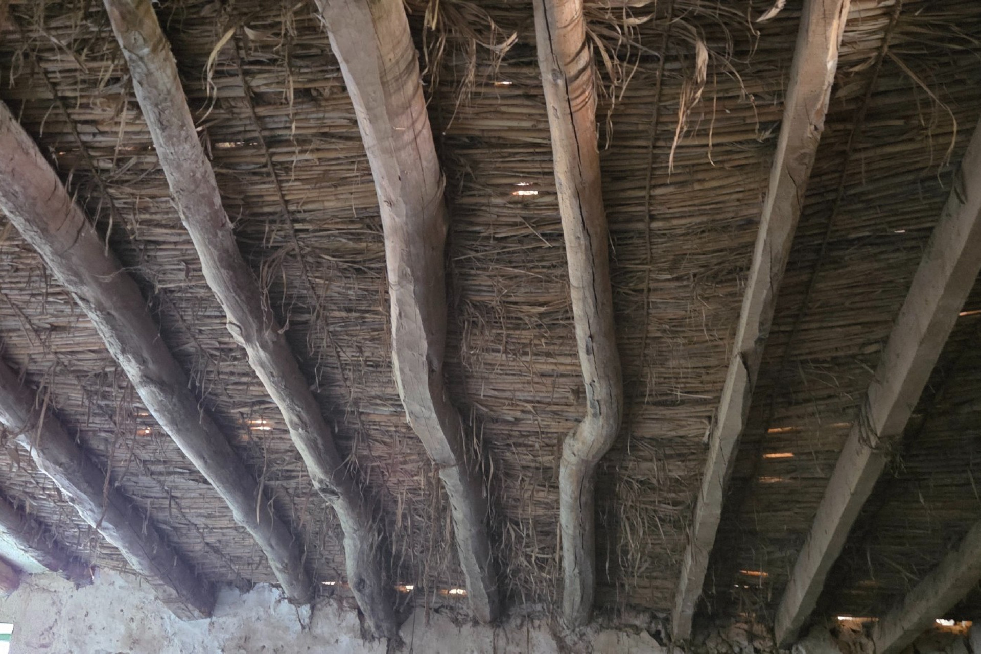 Resale - Finca - Country Property -
Yecla