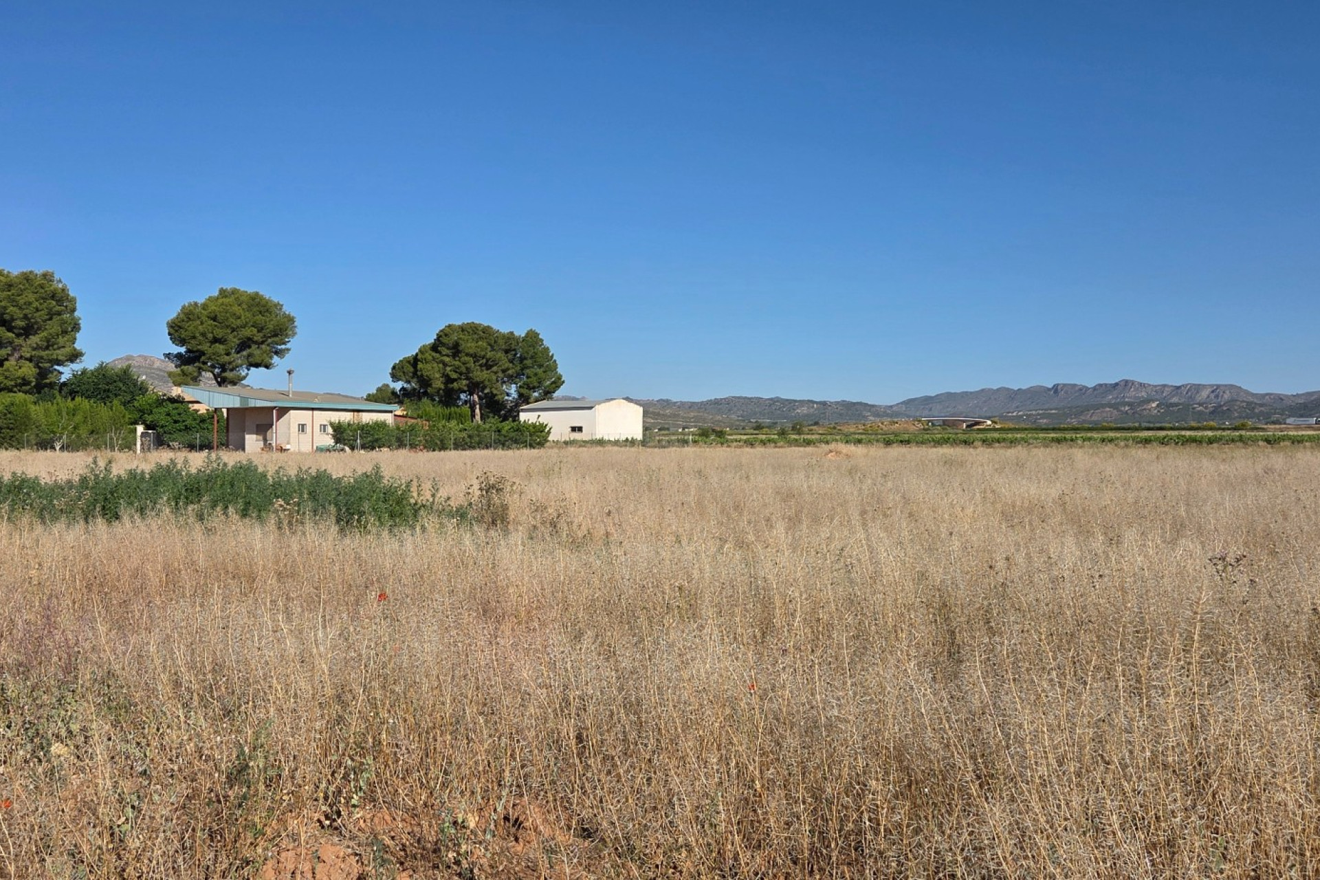 Resale - Finca - Country Property -
Yecla