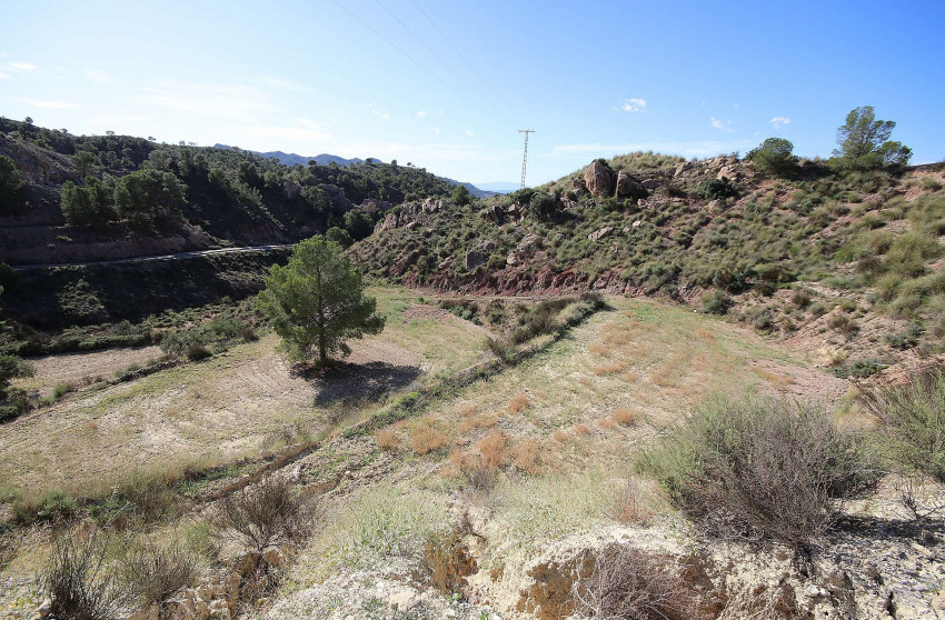 Resale - Land -
Abanilla