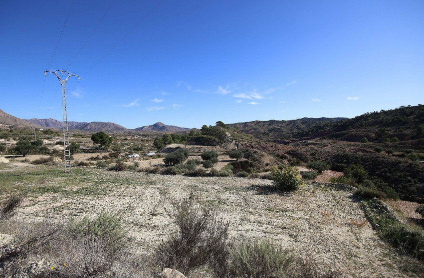 Resale - Land -
Abanilla