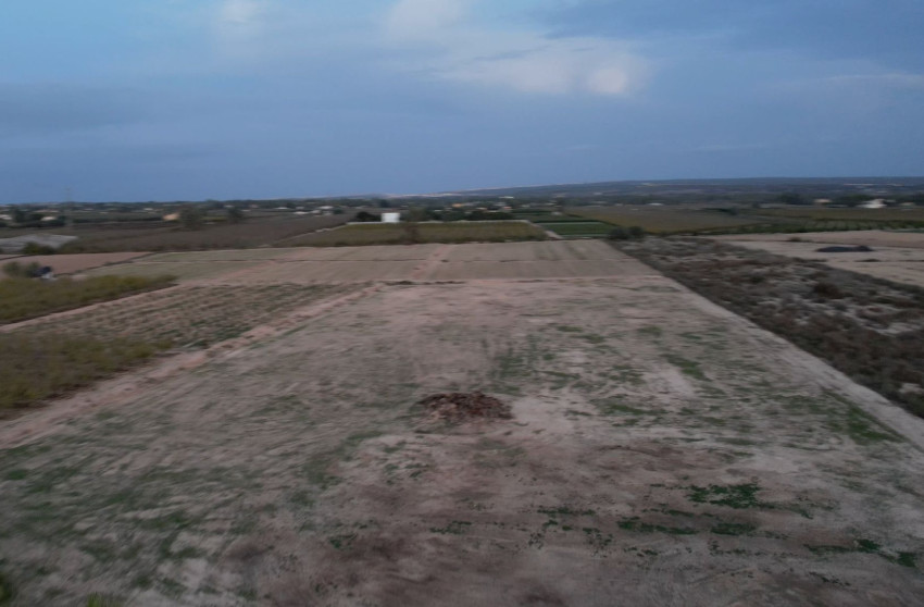 Resale - Land -
Elche - Las Bayas