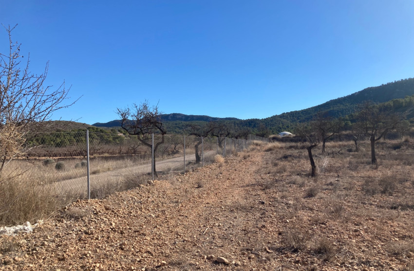 Resale - Land -
Hondón de las Nieves - HONDON DE LAS NIEVES