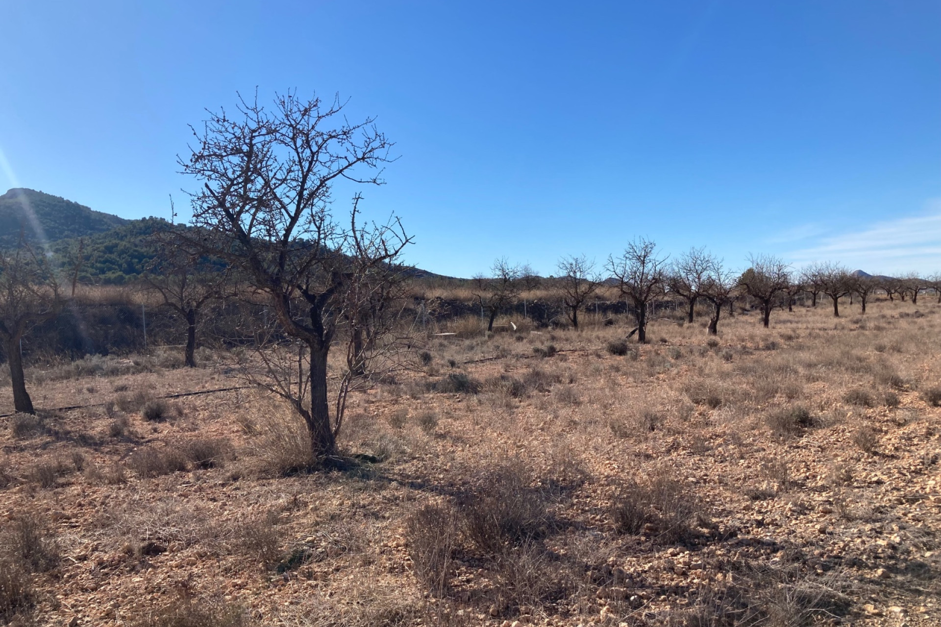 Resale - Land -
Hondón de las Nieves - HONDON DE LAS NIEVES