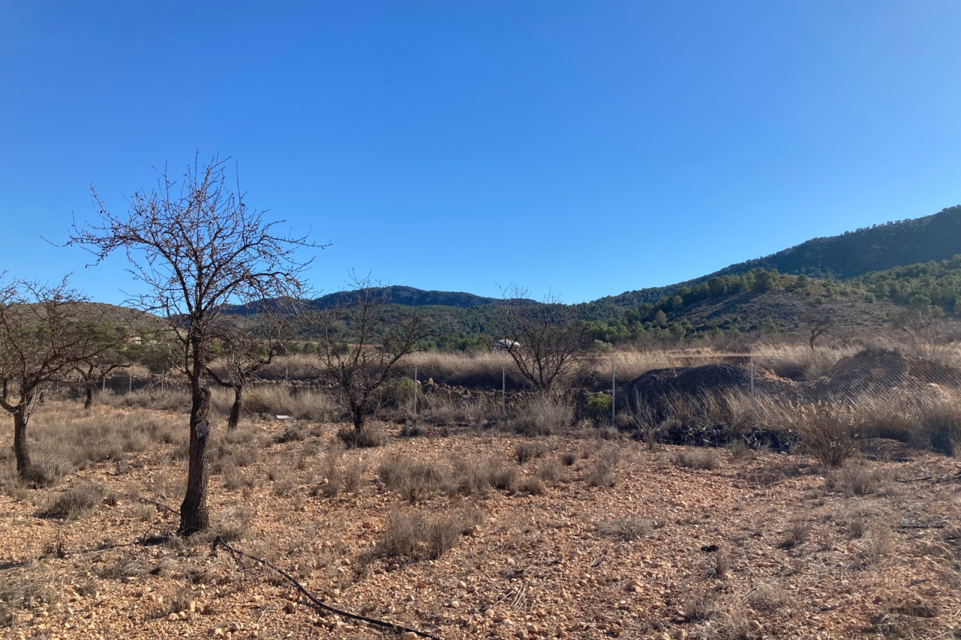 Resale - Land -
Hondón de las Nieves - HONDON DE LAS NIEVES