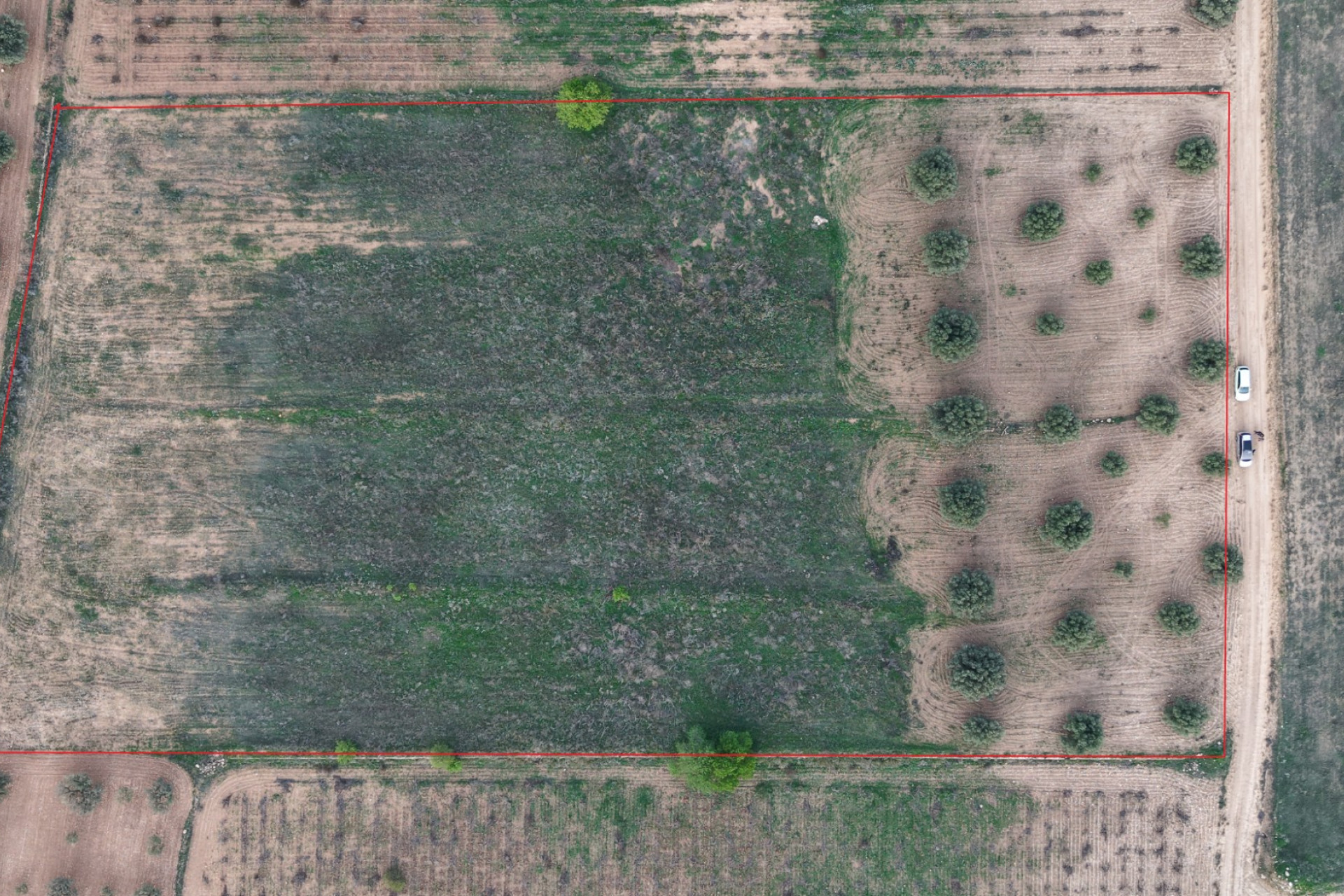 Resale - Land -
Jumilla