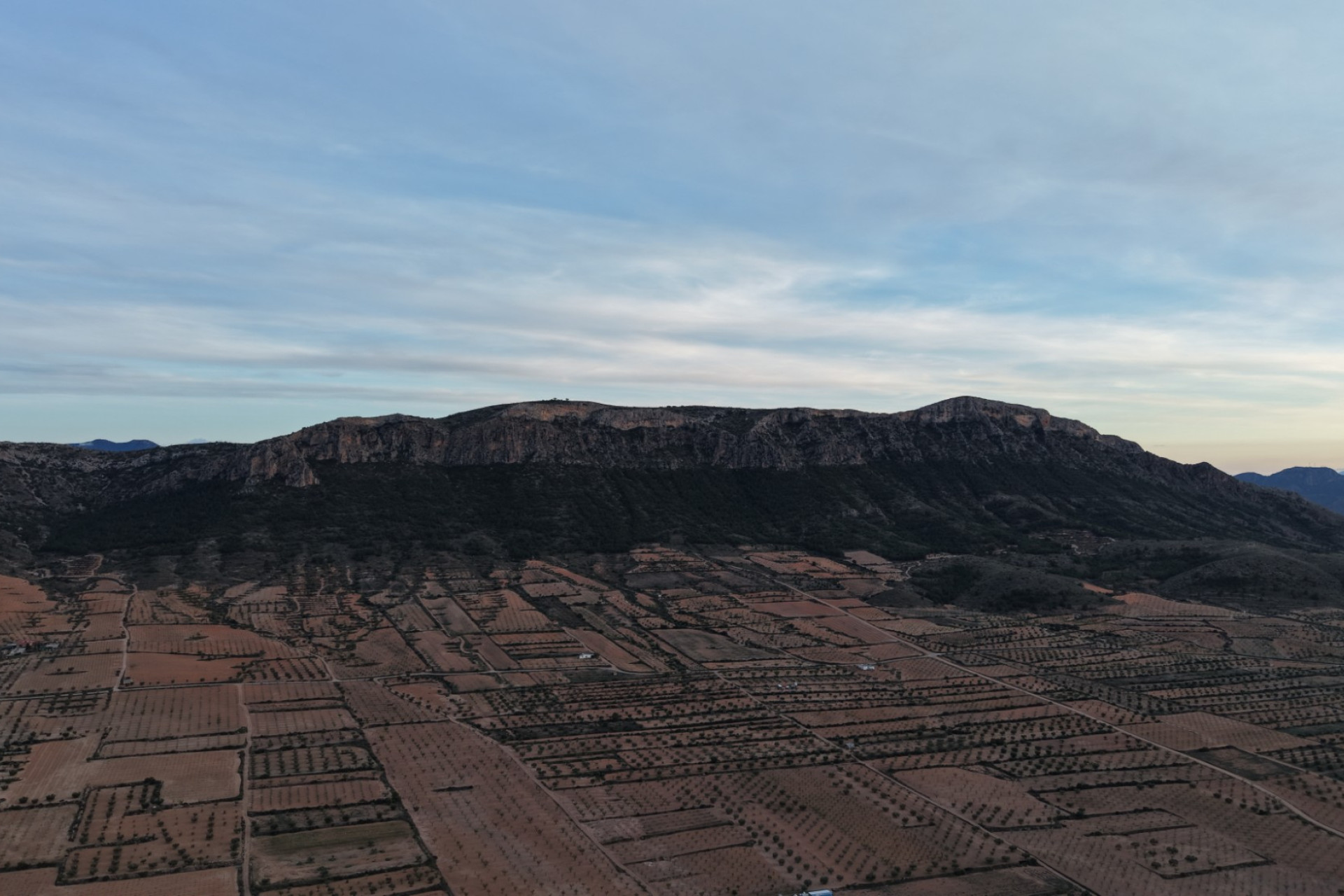 Resale - Land -
Jumilla