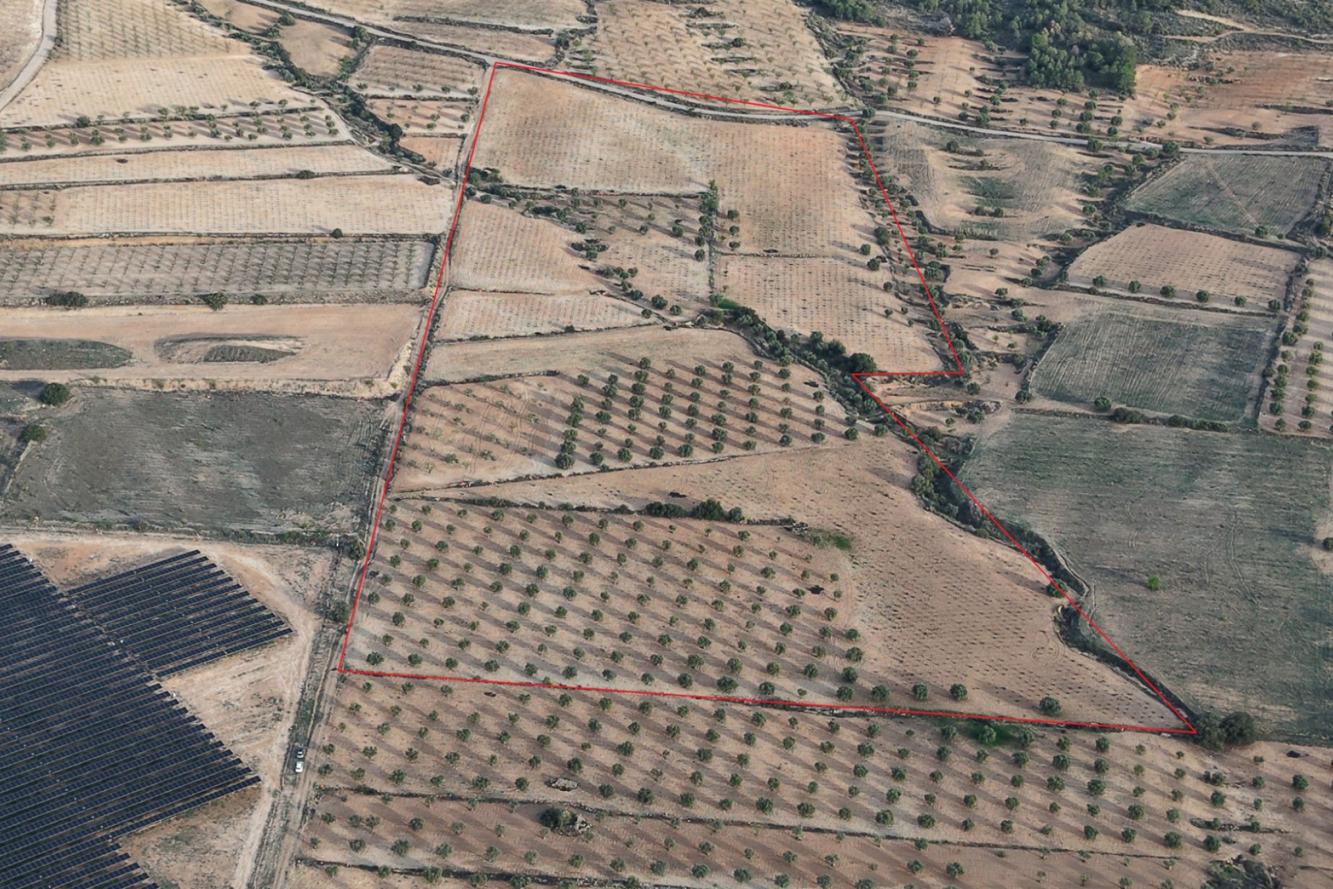 Resale - Land -
Jumilla