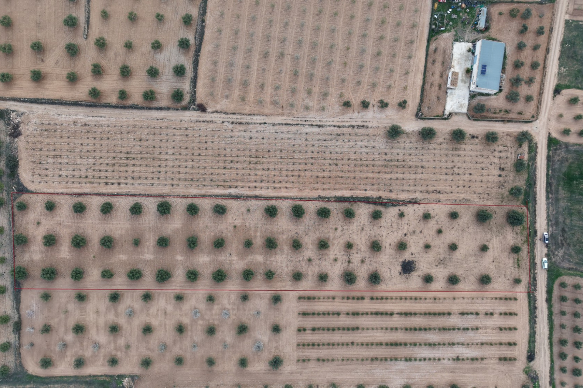 Resale - Land -
Jumilla