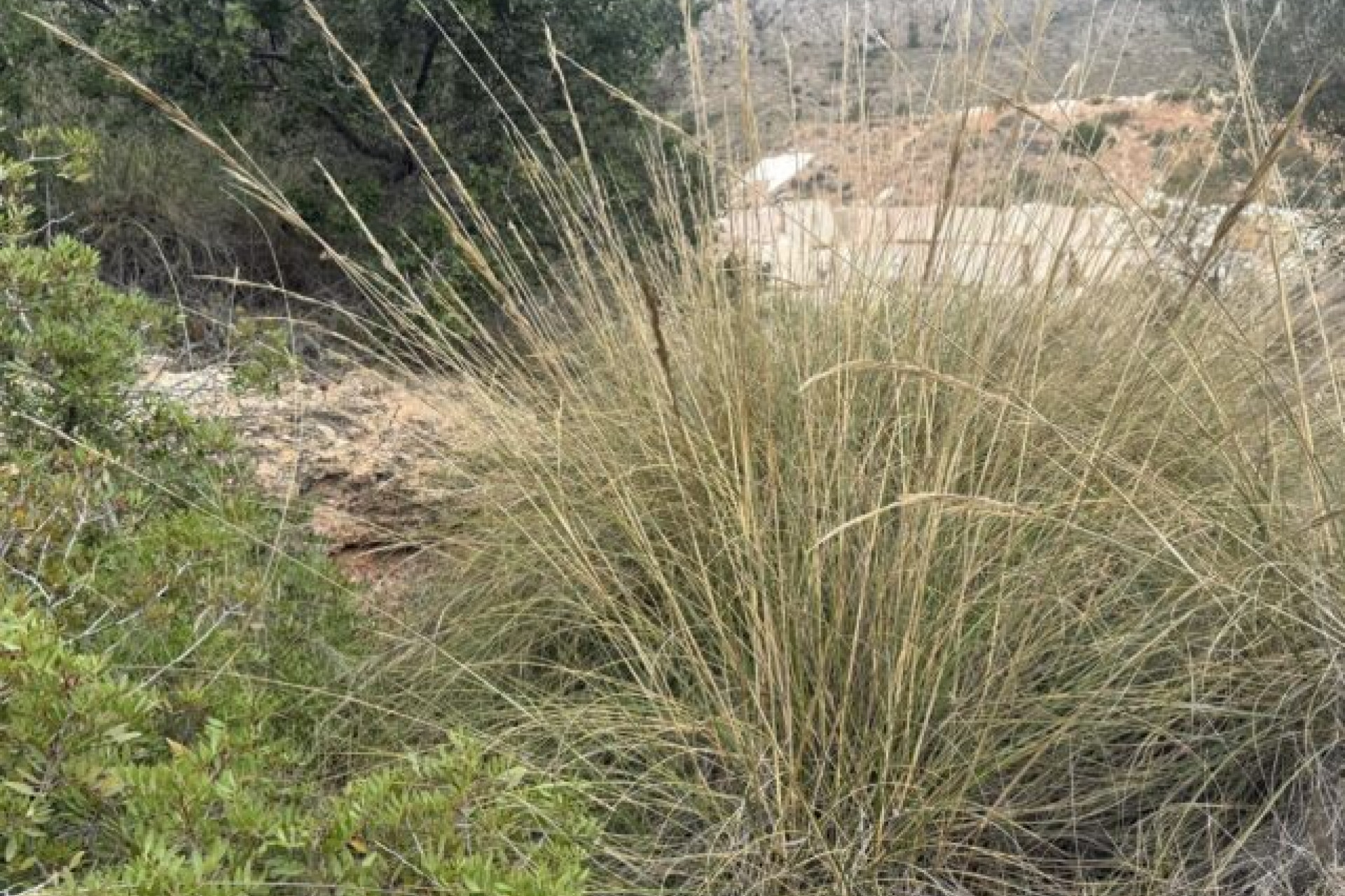 Resale - Land -
La Romana