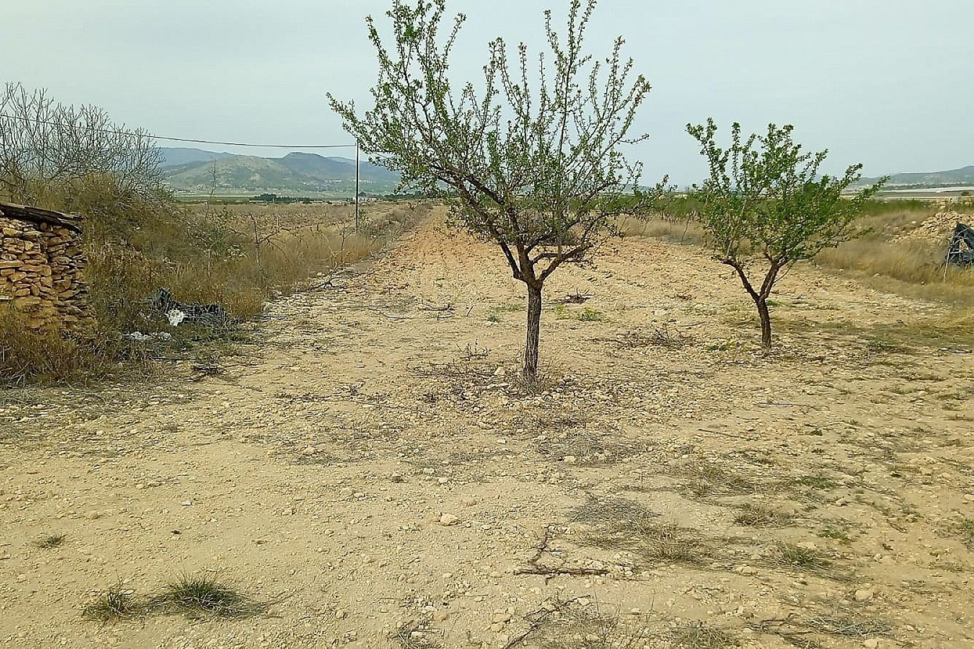 Resale - Land -
Mon&oacute;var - Monovar