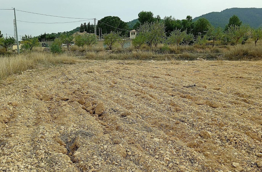 Resale - Land -
Mon&oacute;var - Monovar