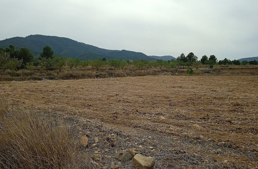Resale - Land -
Mon&oacute;var - Monovar