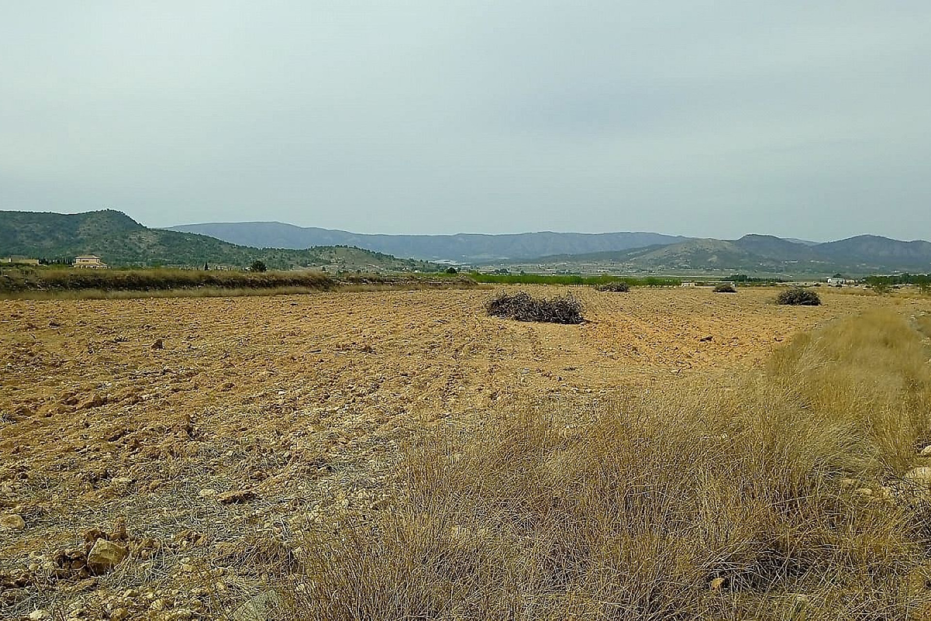 Resale - Land -
Mon&oacute;var - Monovar