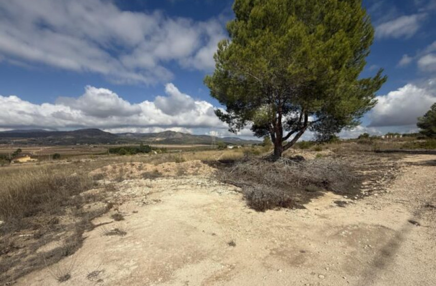 Resale - Land -
Monovar