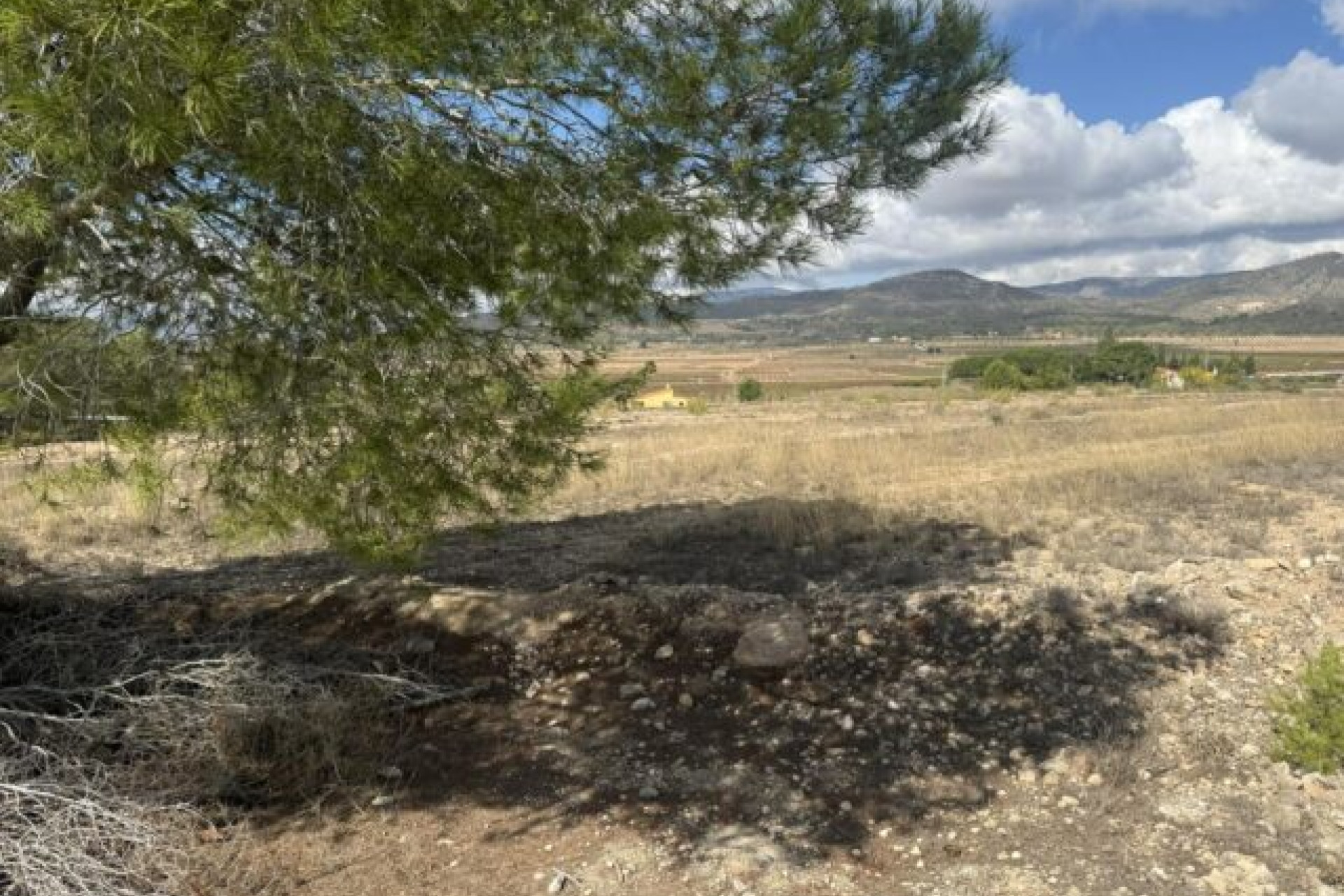 Resale - Land -
Monovar