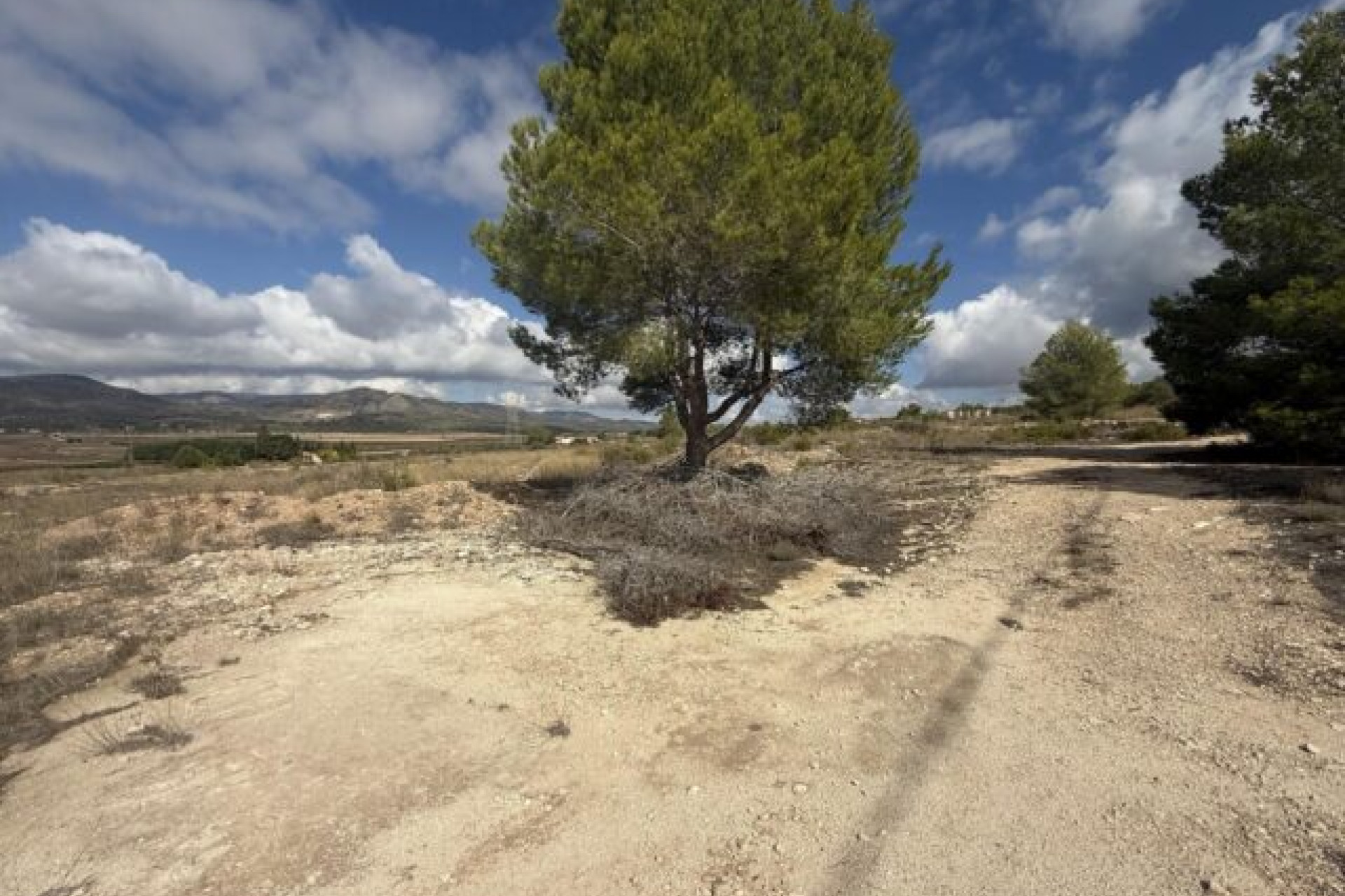 Resale - Land -
Monovar